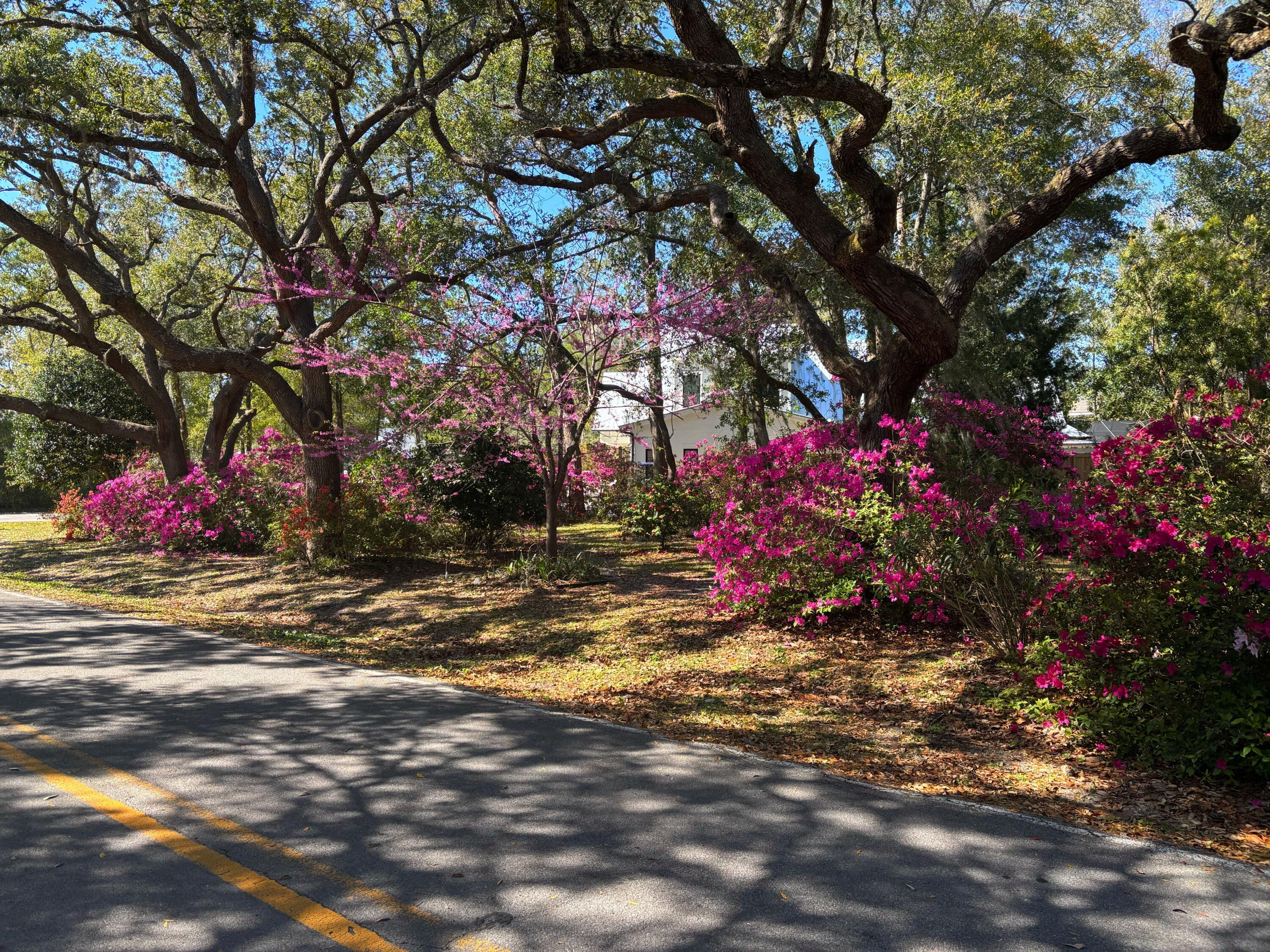 Lot 18 Ricker Avenue Santa Rosa Beach FL 32459