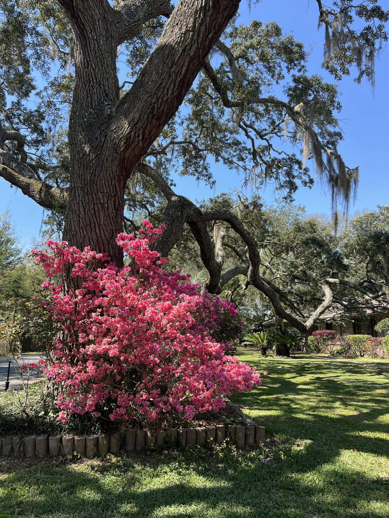 Lot 18 Ricker Avenue Santa Rosa Beach FL 32459