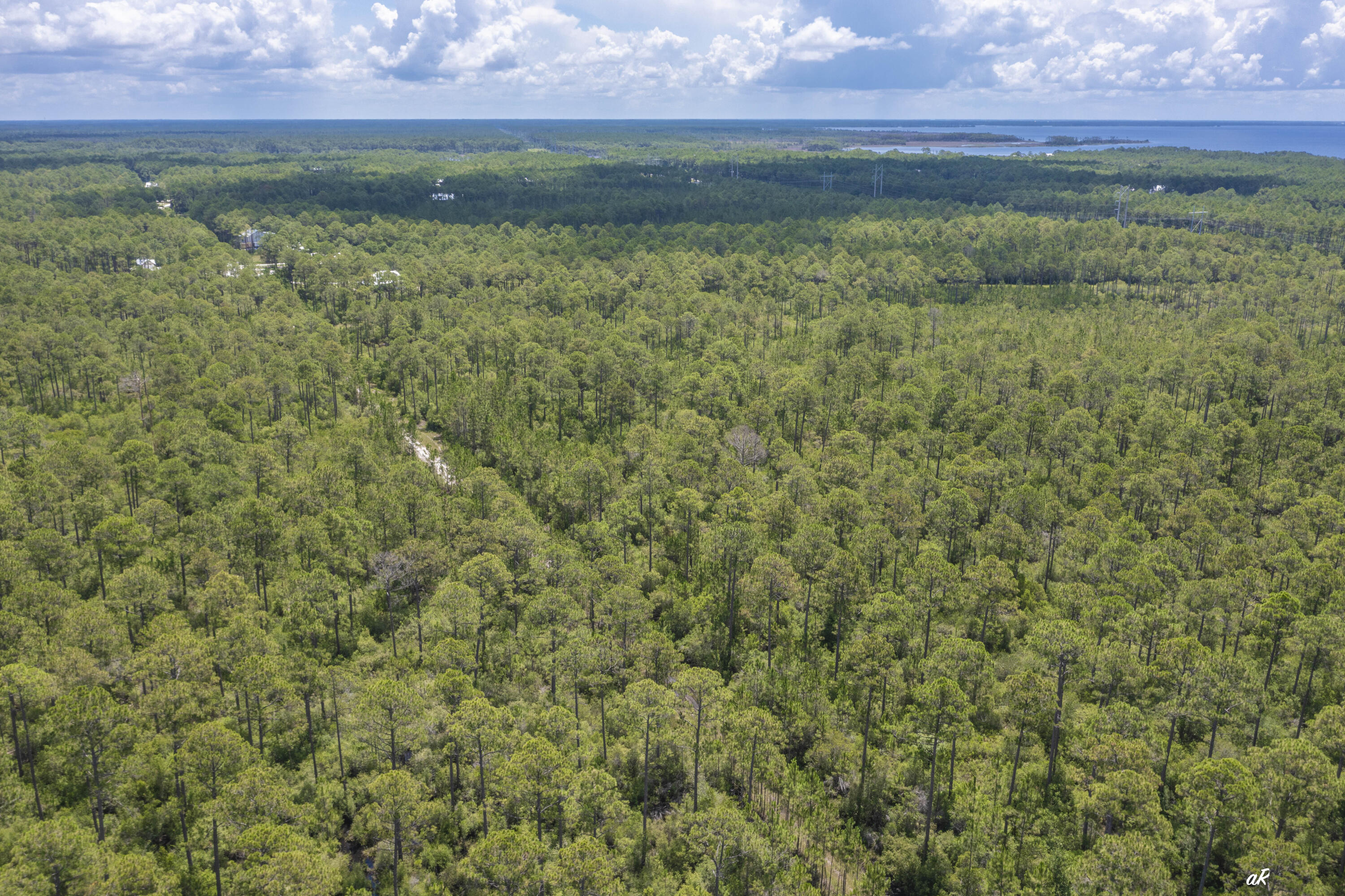6624 Button Buck Trail Panama City Beach FL 32413