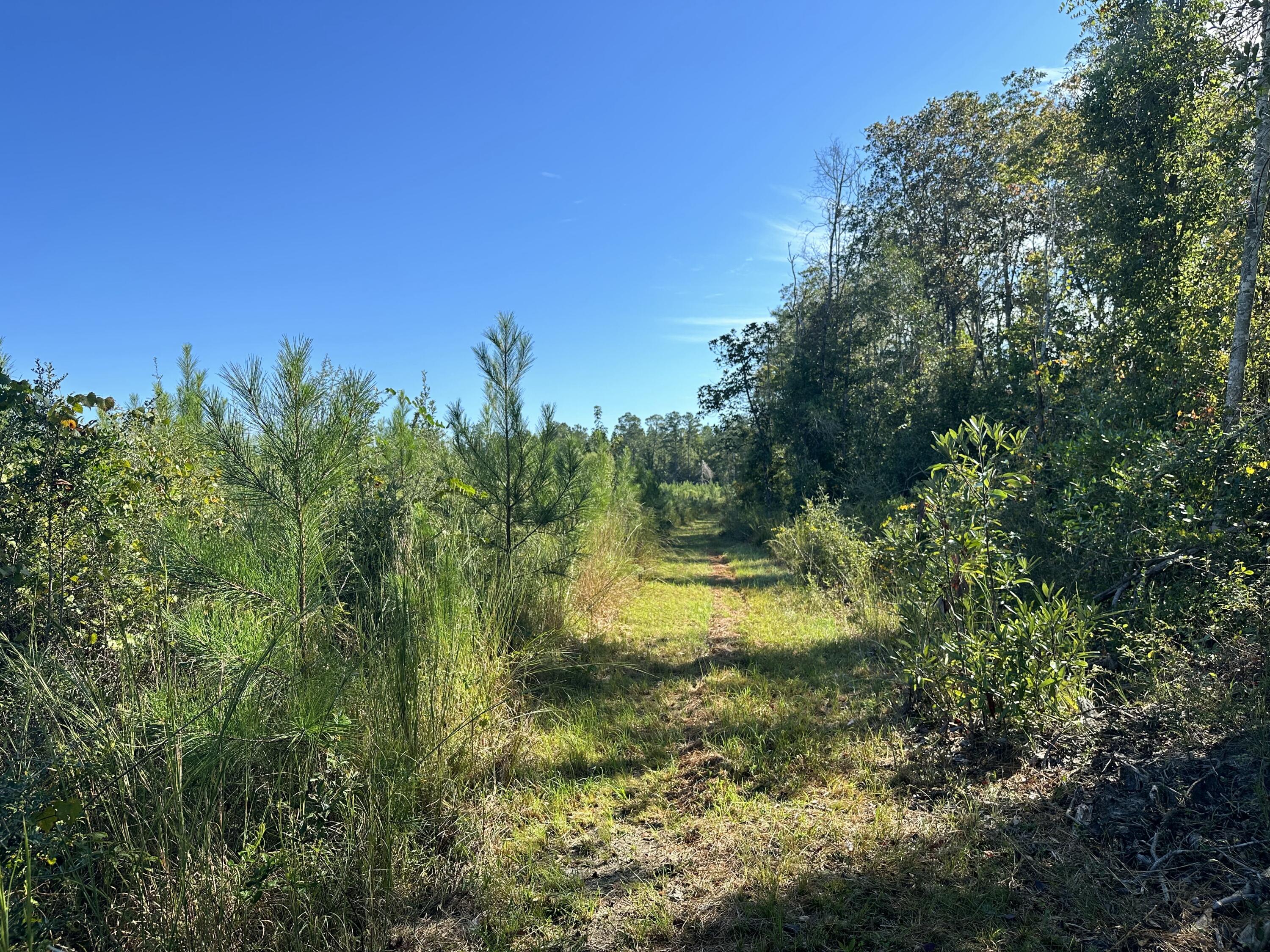 Parcel D1 Millside Laurel Hill FL 32567