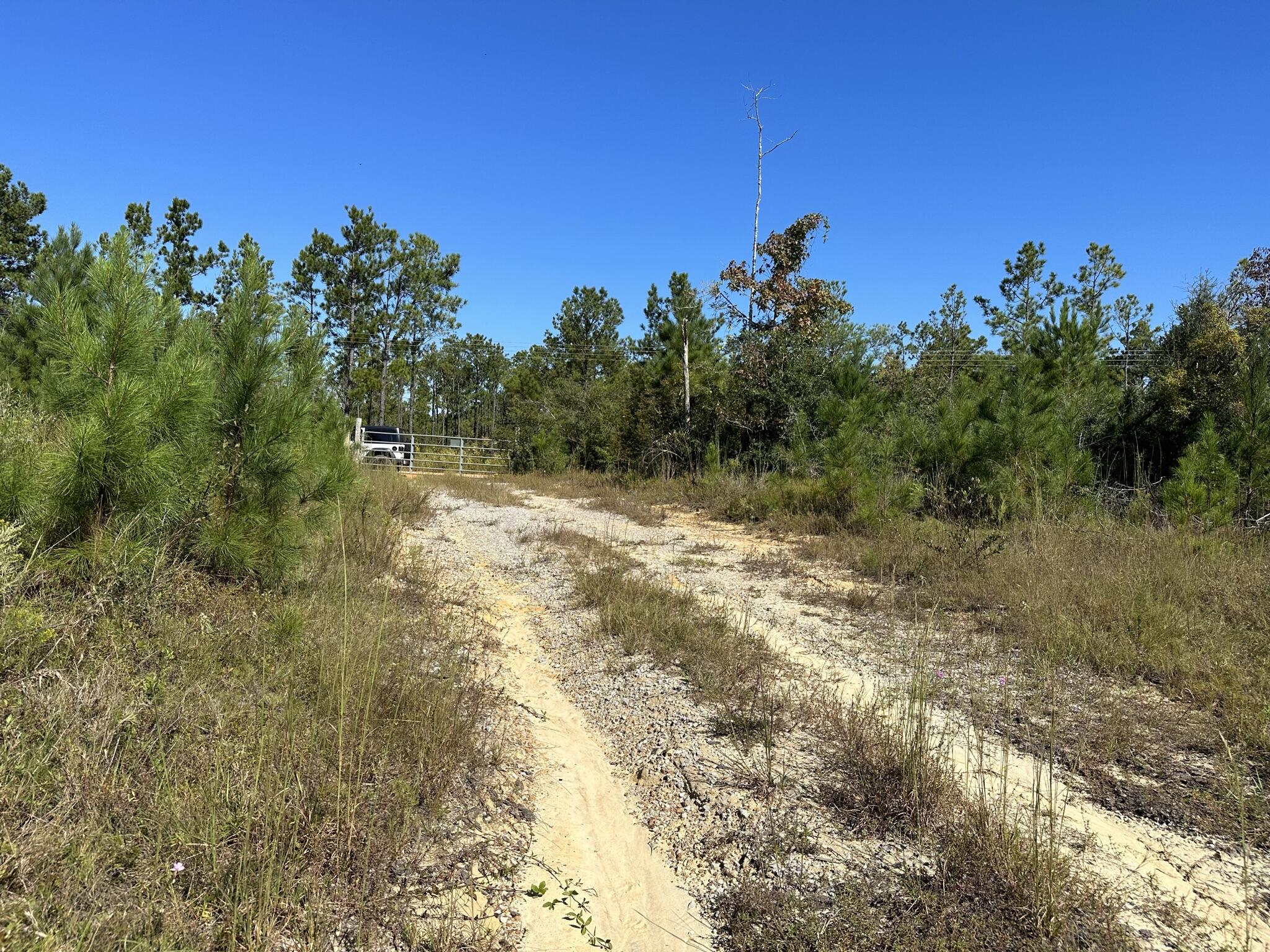 Parcel D1 Millside Laurel Hill FL 32567