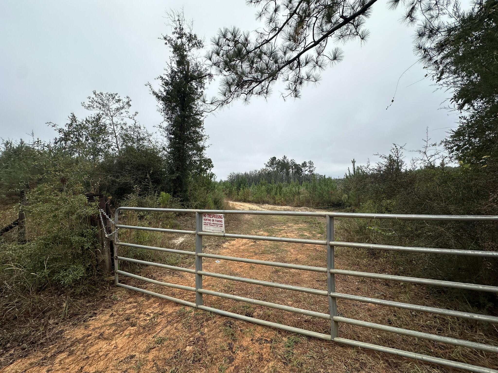 Parcel D1 Millside Laurel Hill FL 32567
