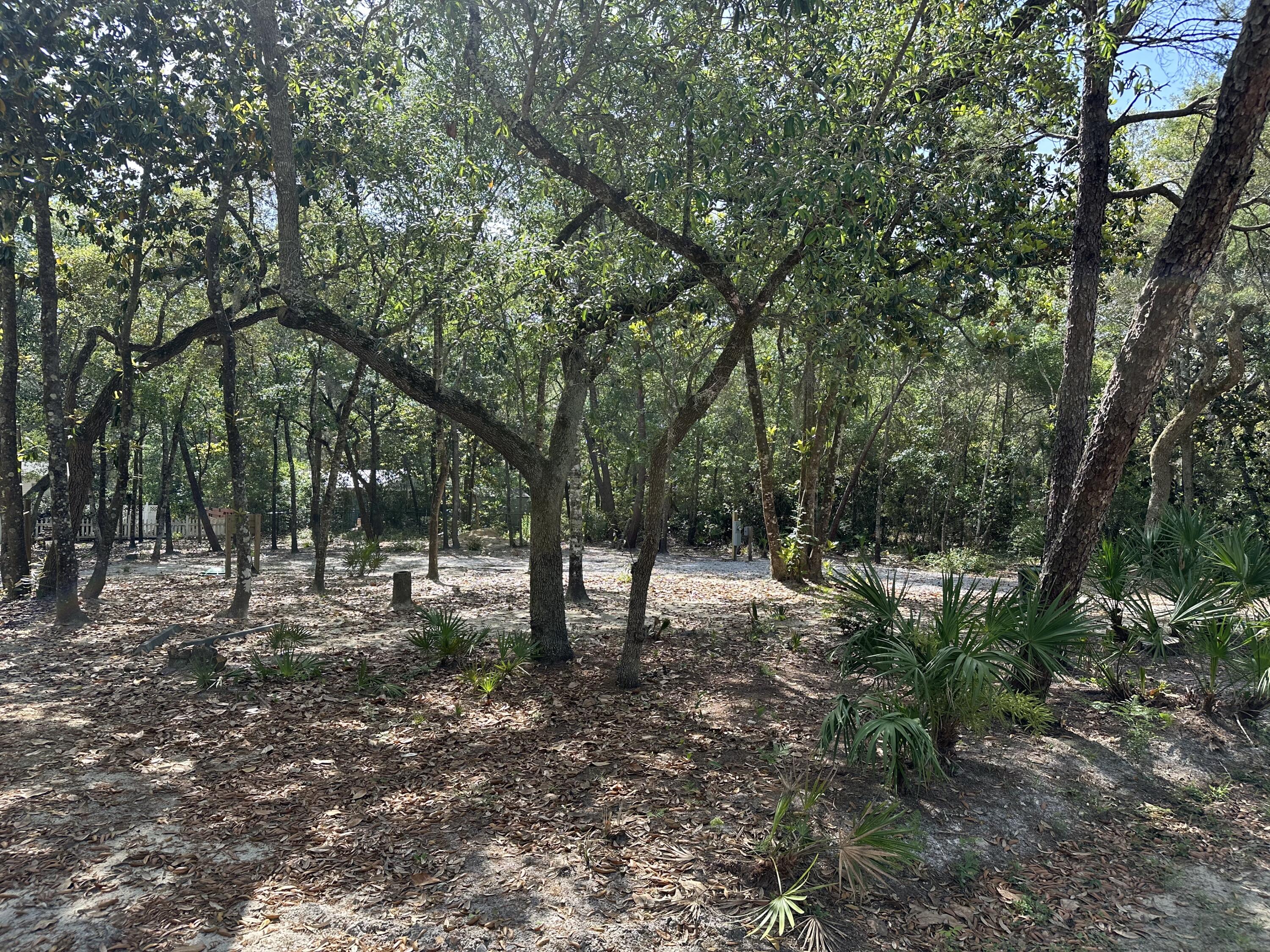 Xx Turquoise Beach Drive Santa Rosa Beach FL 32459