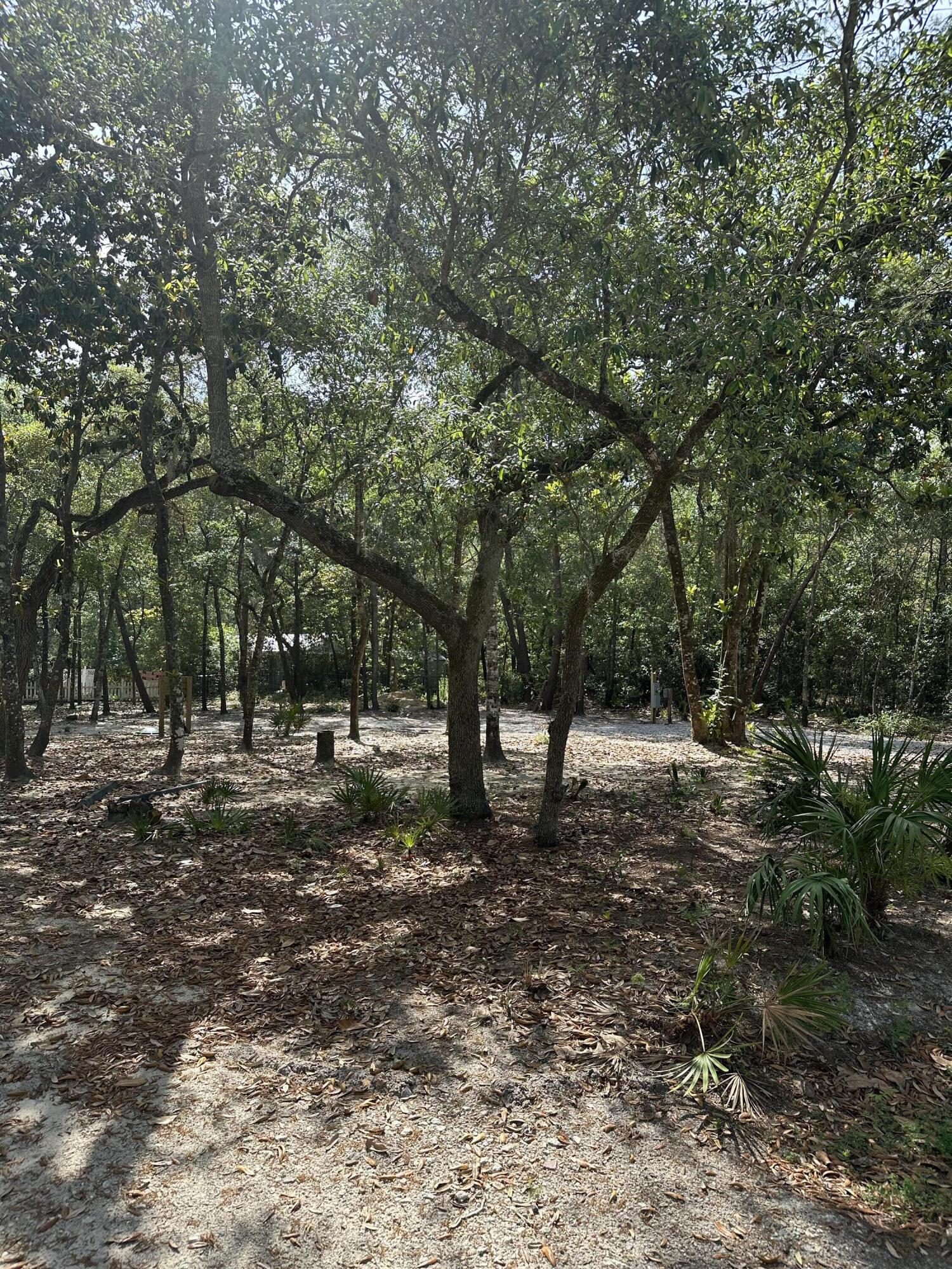 Xx Turquoise Beach Drive Santa Rosa Beach FL 32459