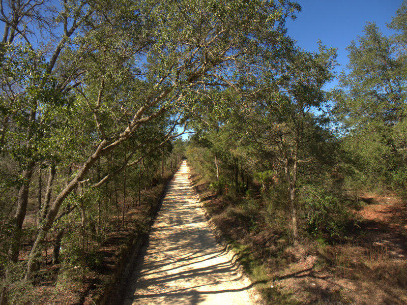 13A Wiggins Road Holt FL 32564