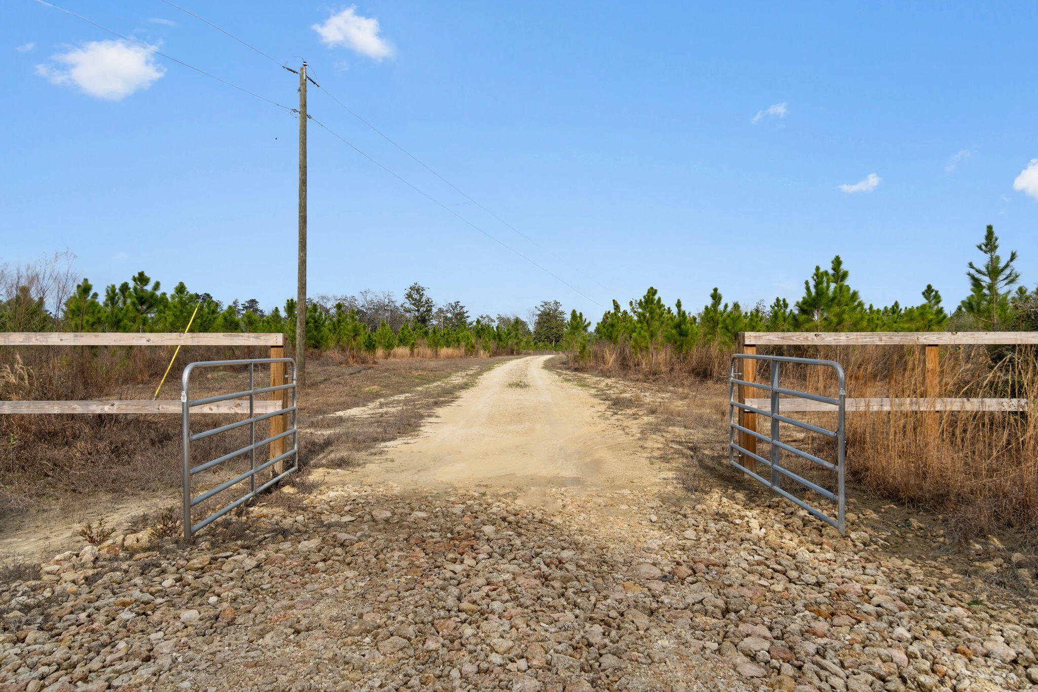 81 Acres Show Horse Way Laurel Hill FL 32567