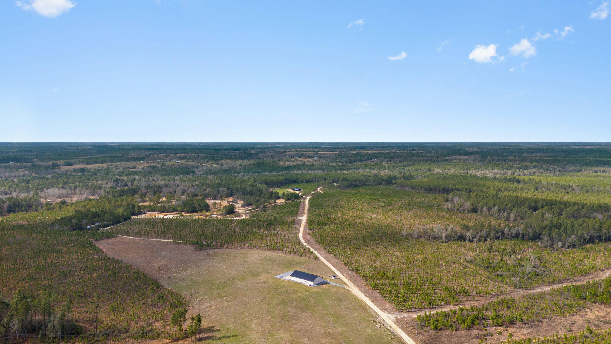 81 Acres Show Horse Way Laurel Hill FL 32567