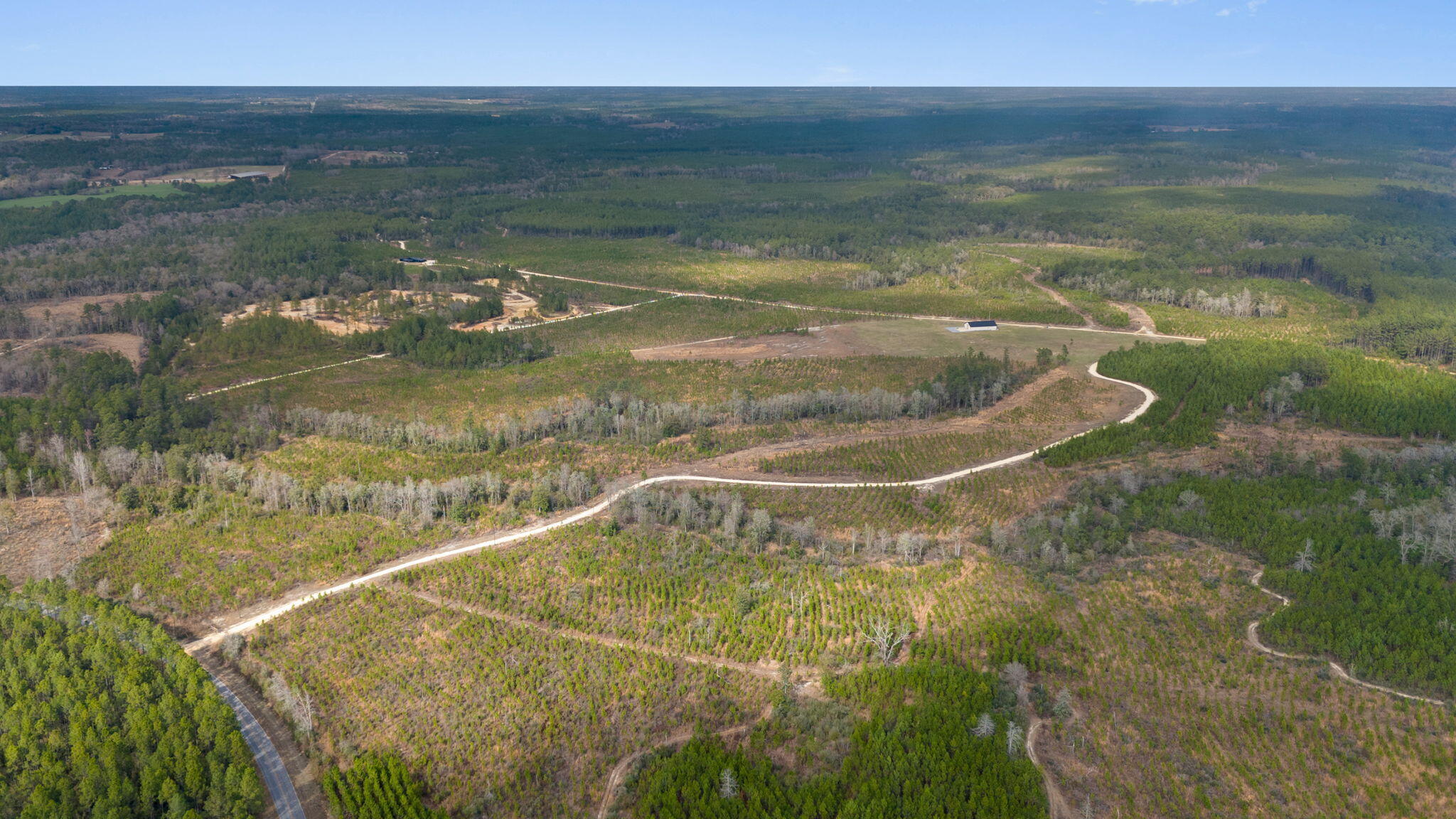 81 Acres Show Horse Way Laurel Hill FL 32567