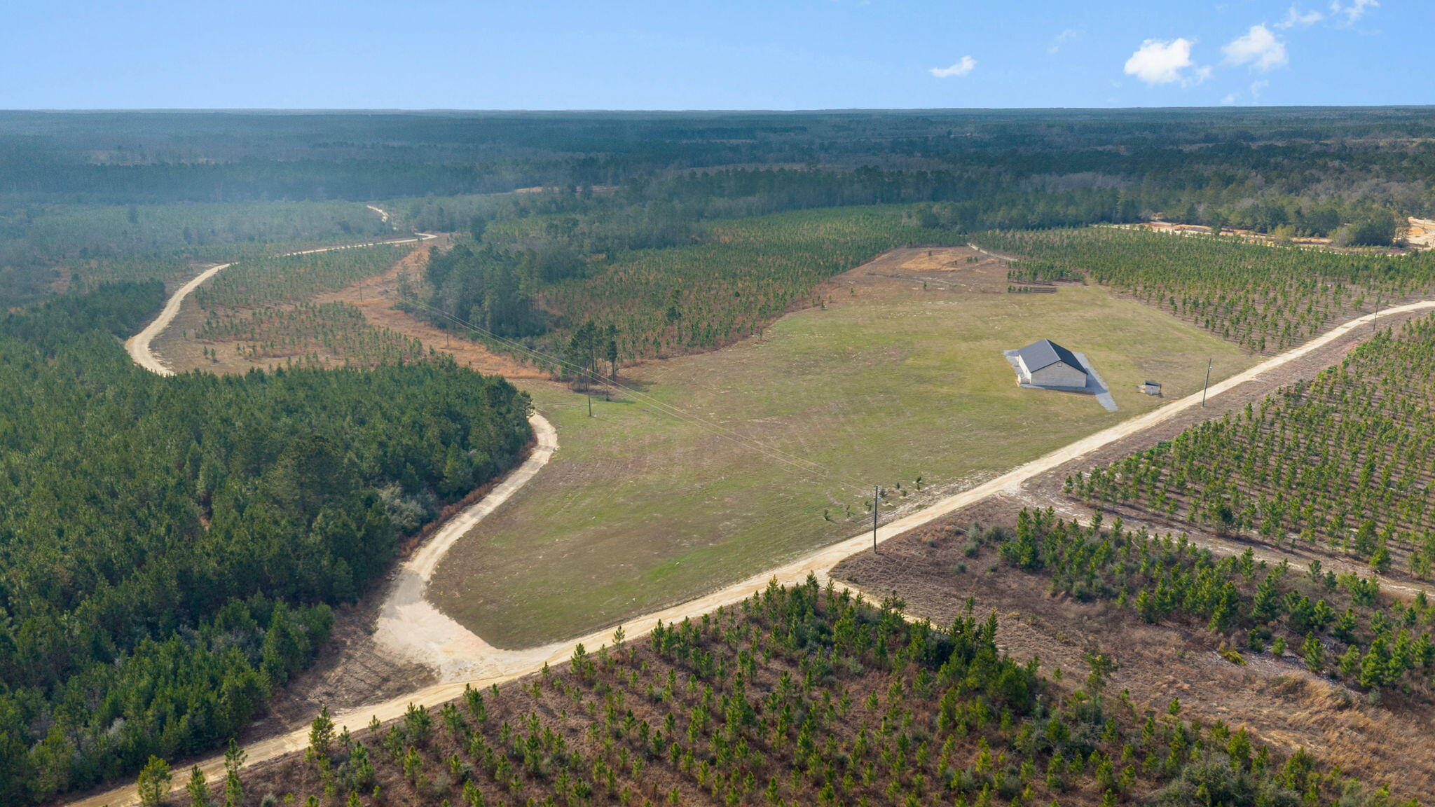 81 Acres Show Horse Way Laurel Hill FL 32567