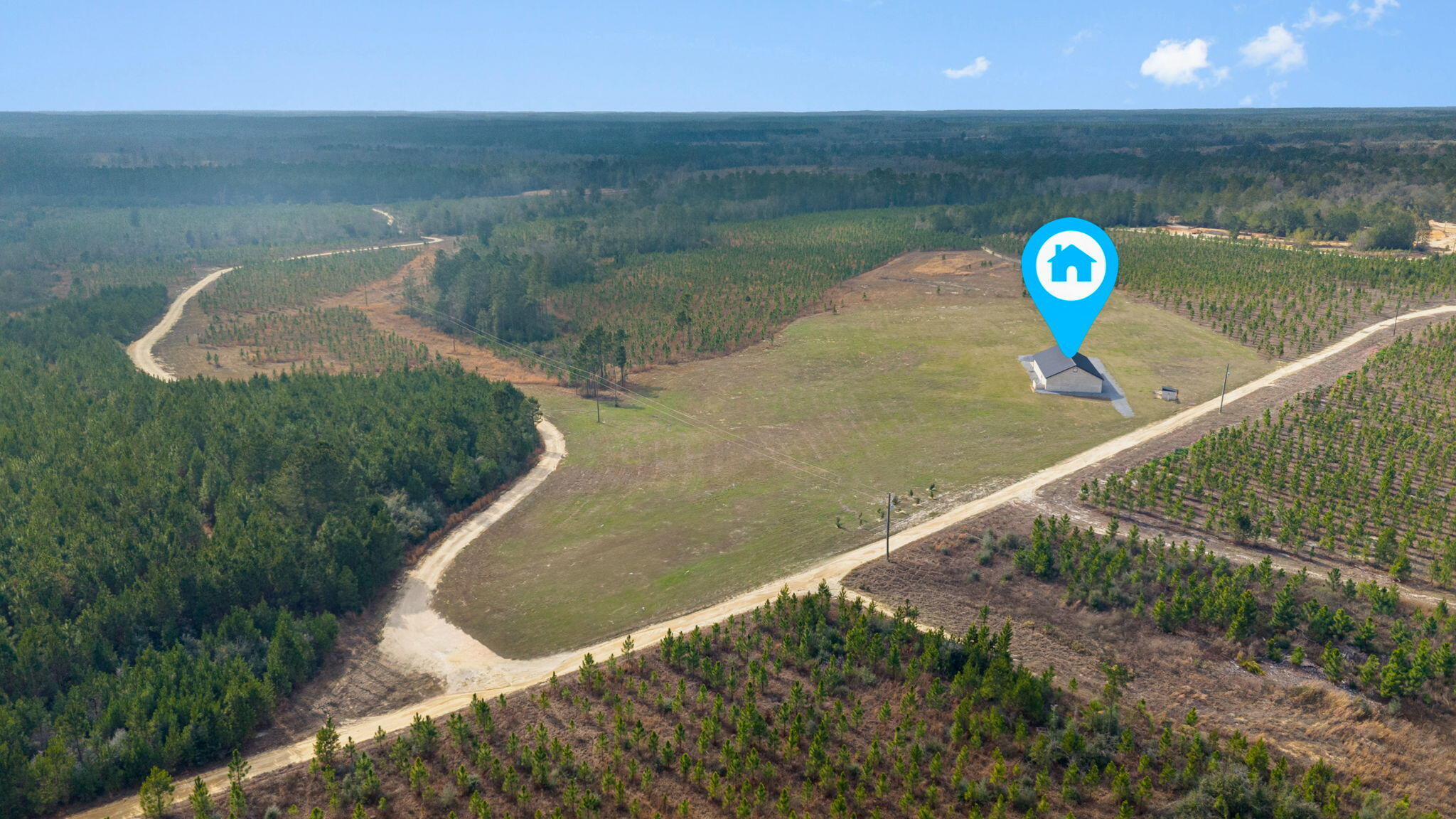 81 Acres Show Horse Way Laurel Hill FL 32567