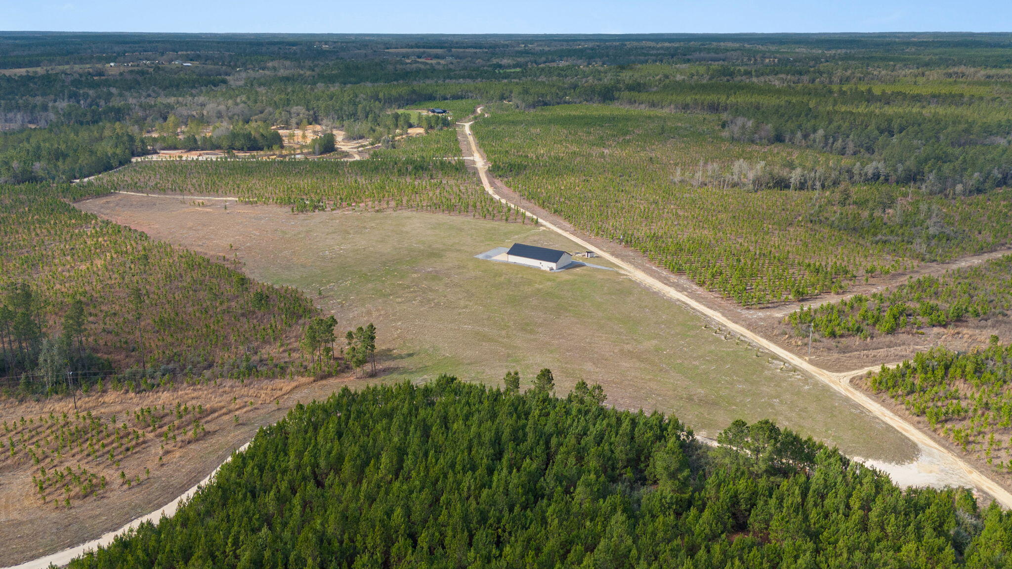 81 Acres Show Horse Way Laurel Hill FL 32567