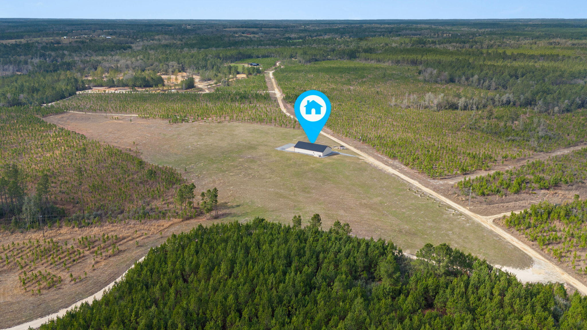 81 Acres Show Horse Way Laurel Hill FL 32567