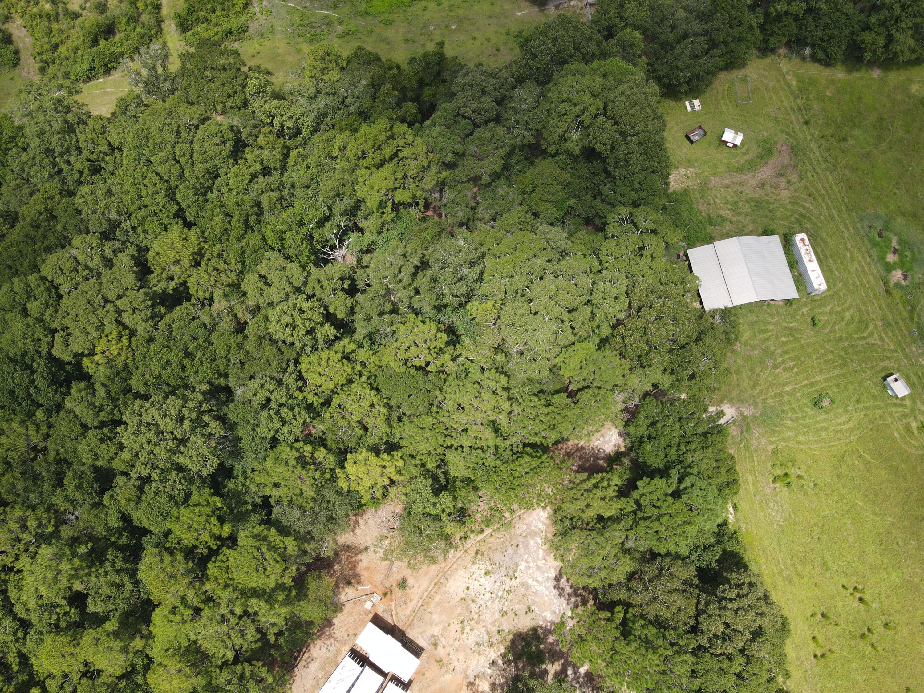 3928 E Co Highway 181 Westville FL 32464