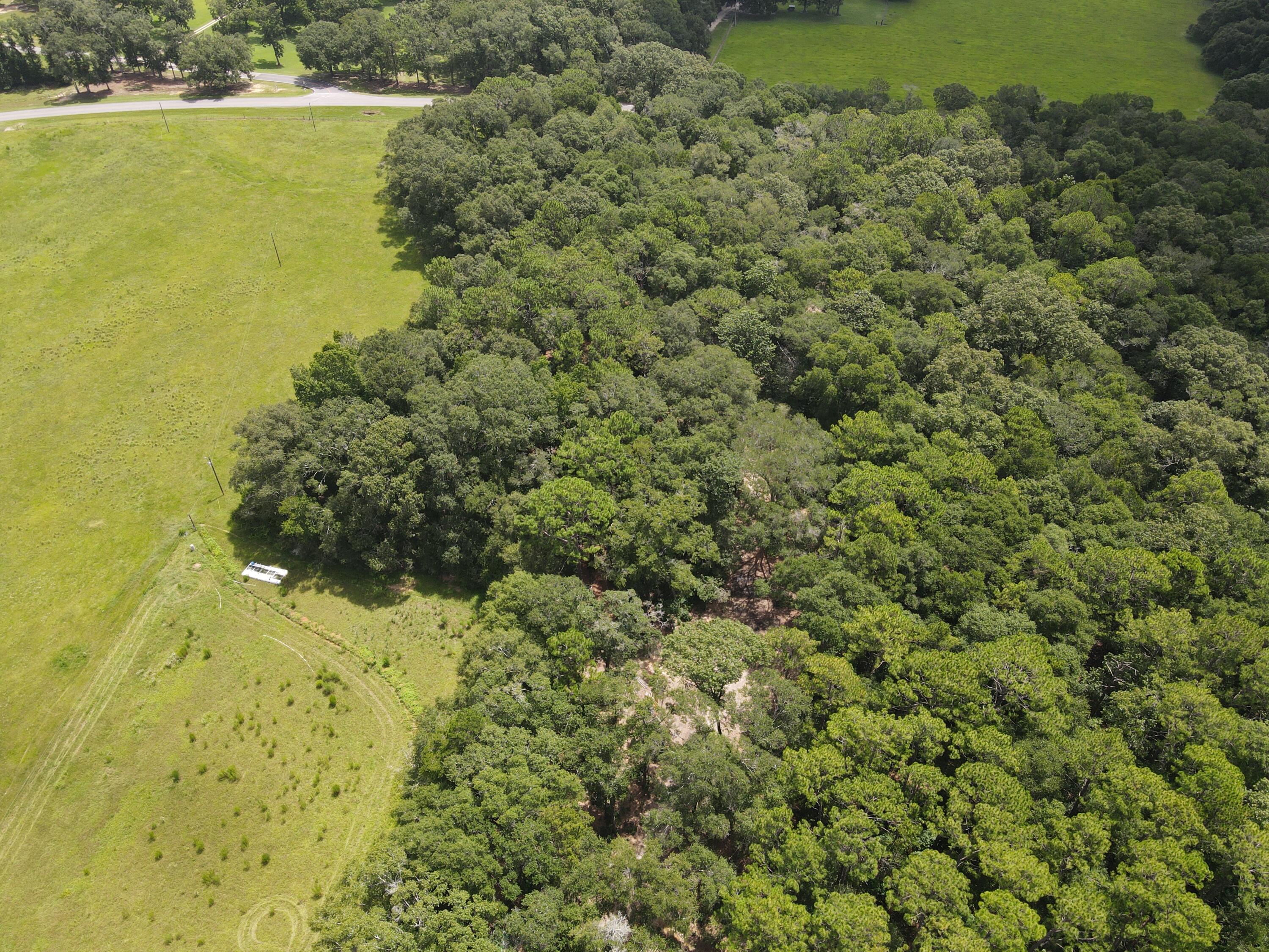 3928 E Co Highway 181 Westville FL 32464
