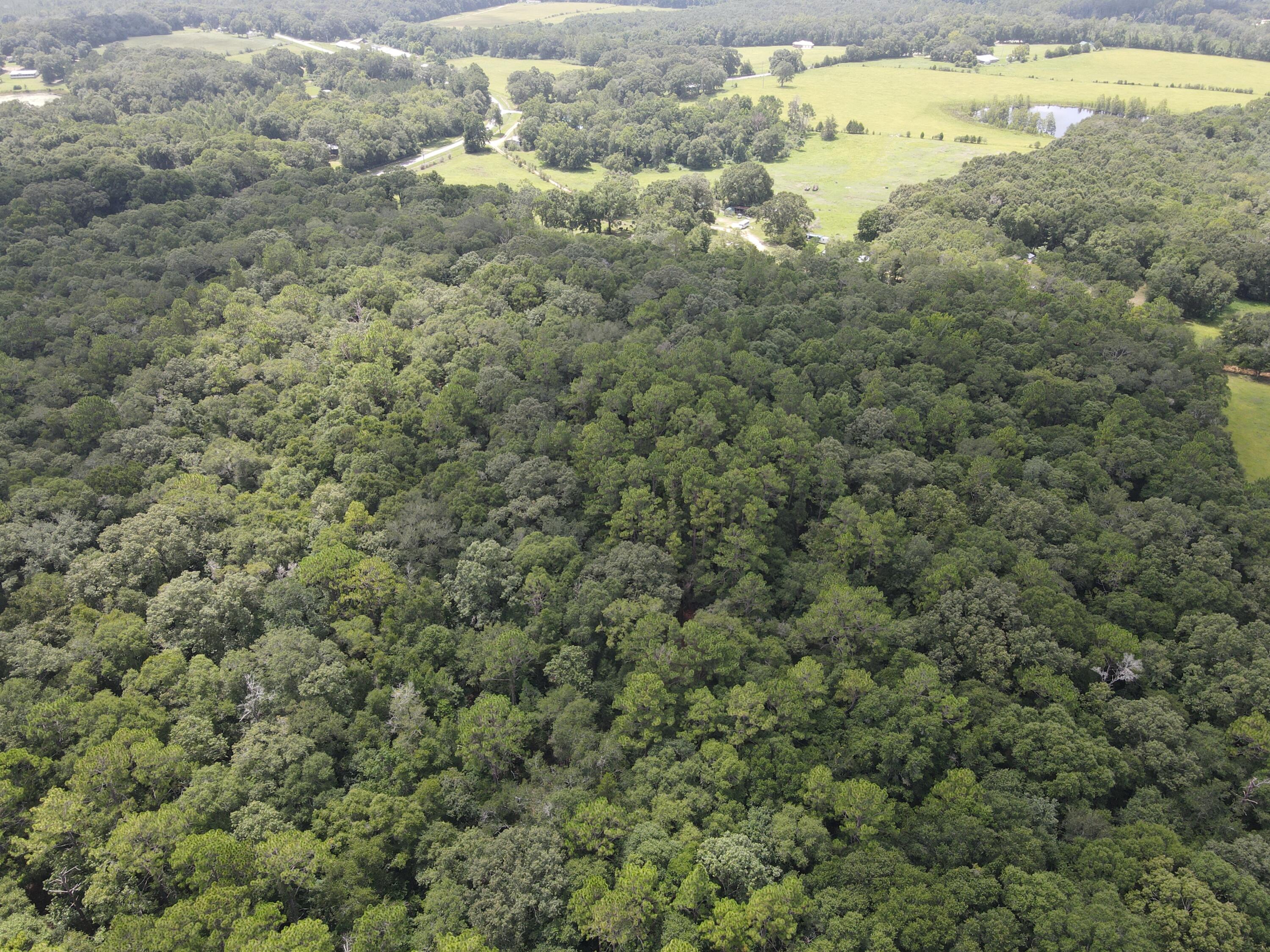 3928 E Co Highway 181 Westville FL 32464