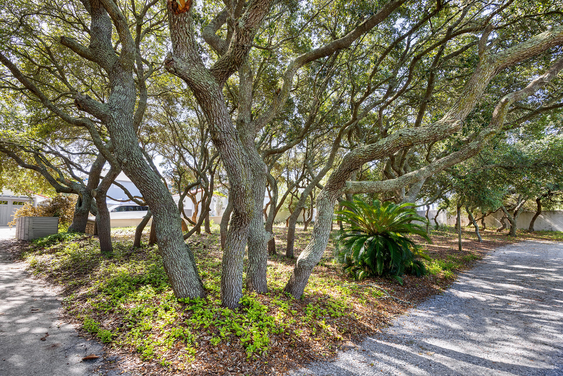Tbd Vail Lane Santa Rosa Beach FL 32459