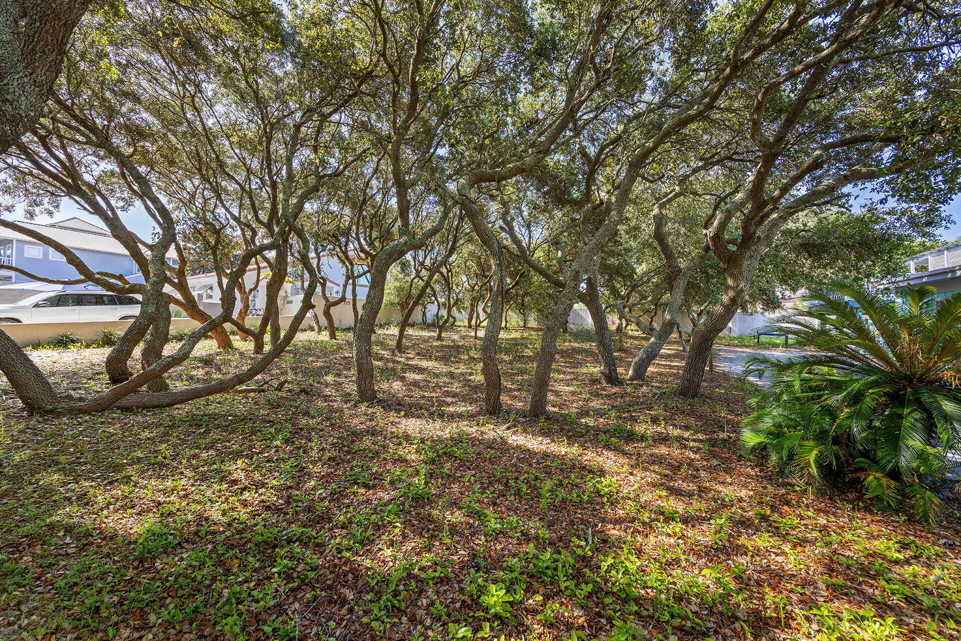 Tbd Vail Lane Santa Rosa Beach FL 32459