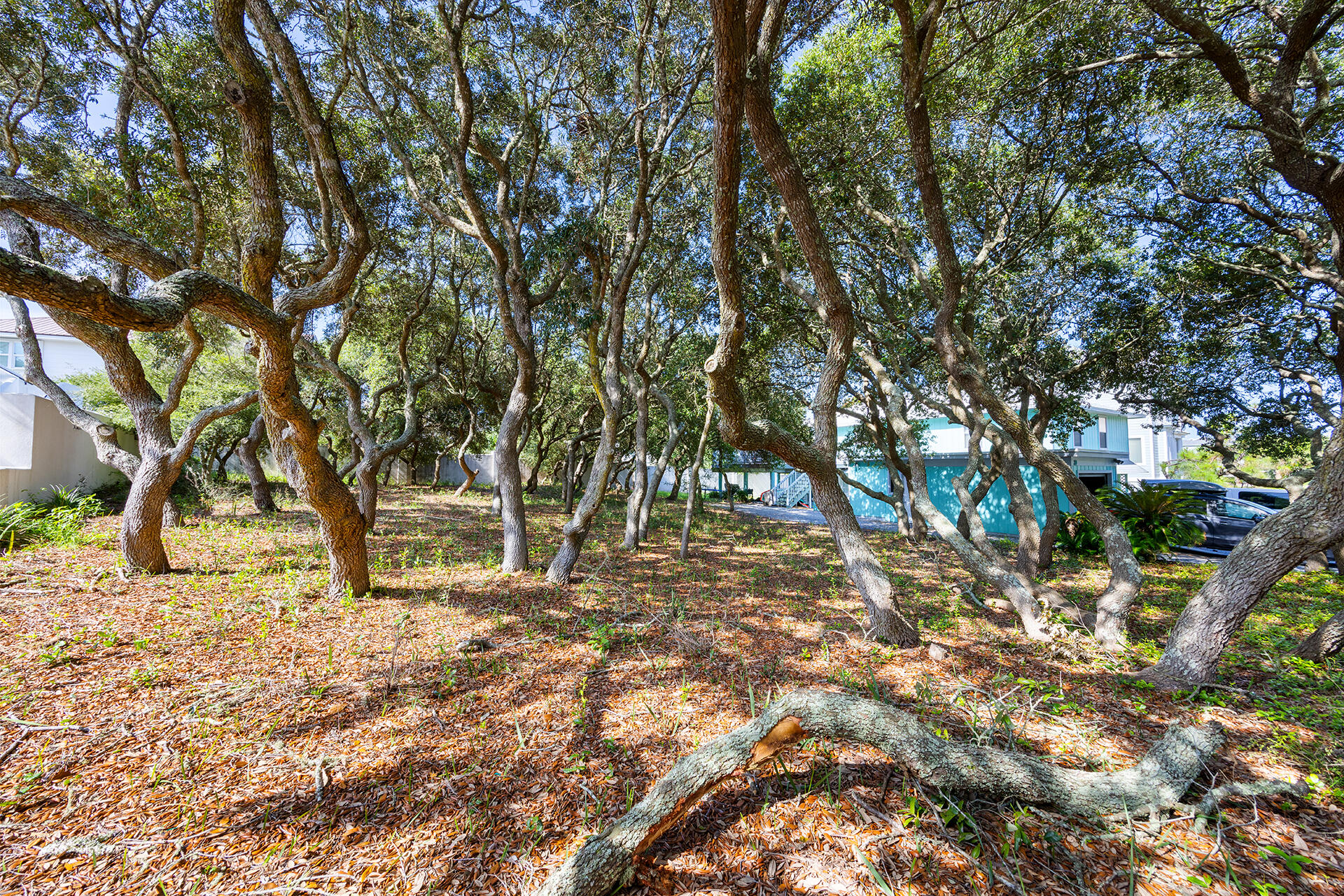 Tbd Vail Lane Santa Rosa Beach FL 32459