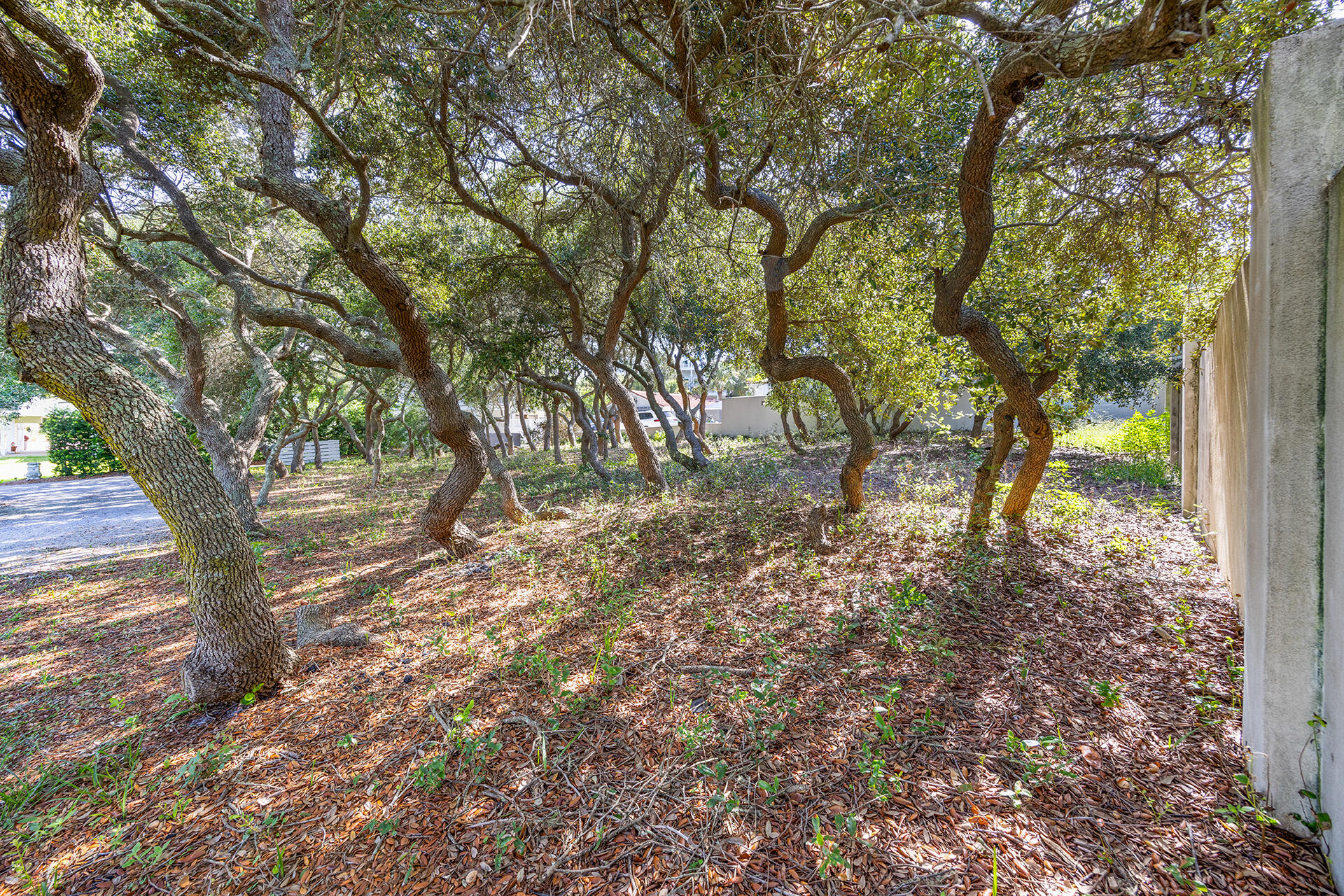 Tbd Vail Lane Santa Rosa Beach FL 32459