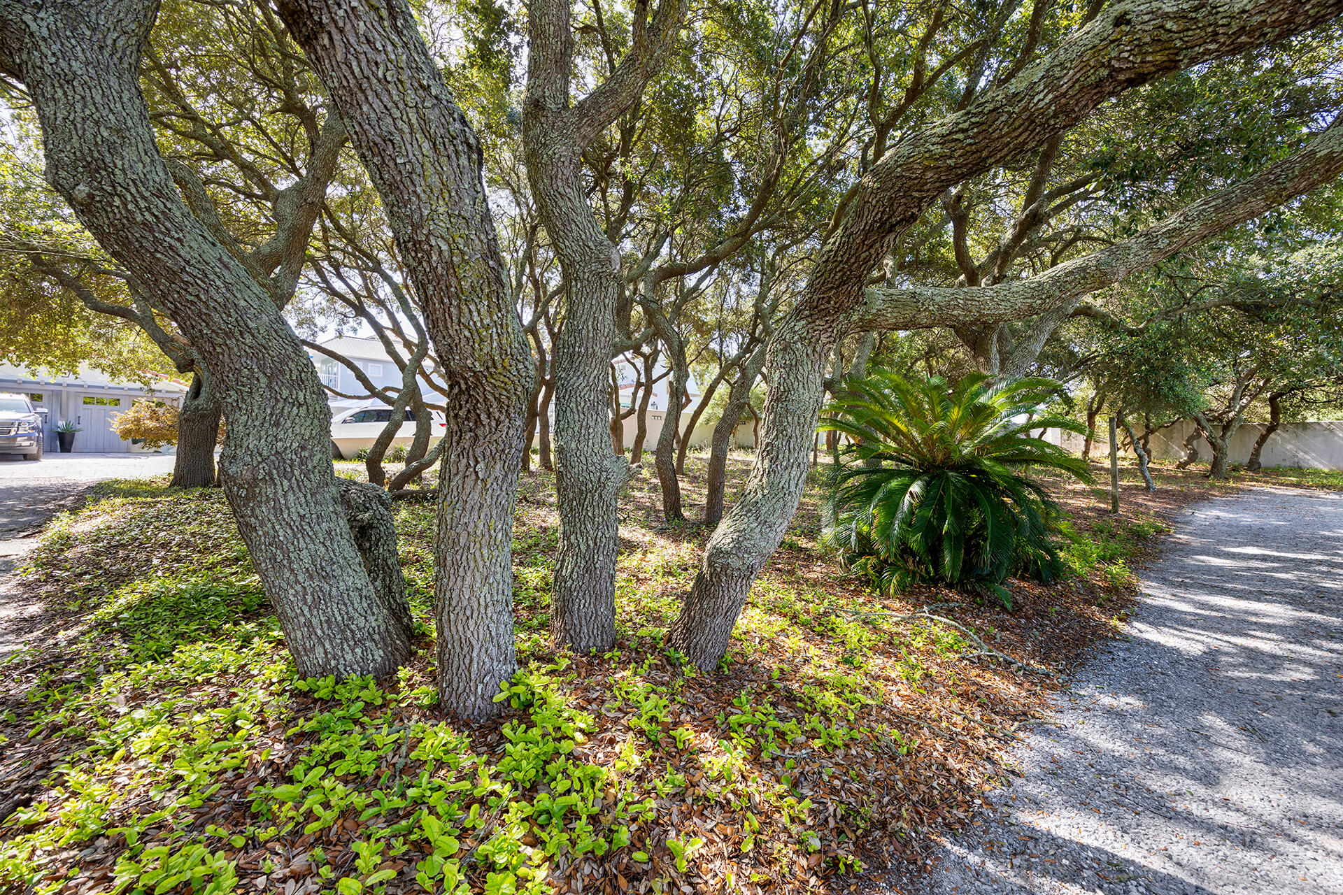 Tbd Vail Lane Santa Rosa Beach FL 32459