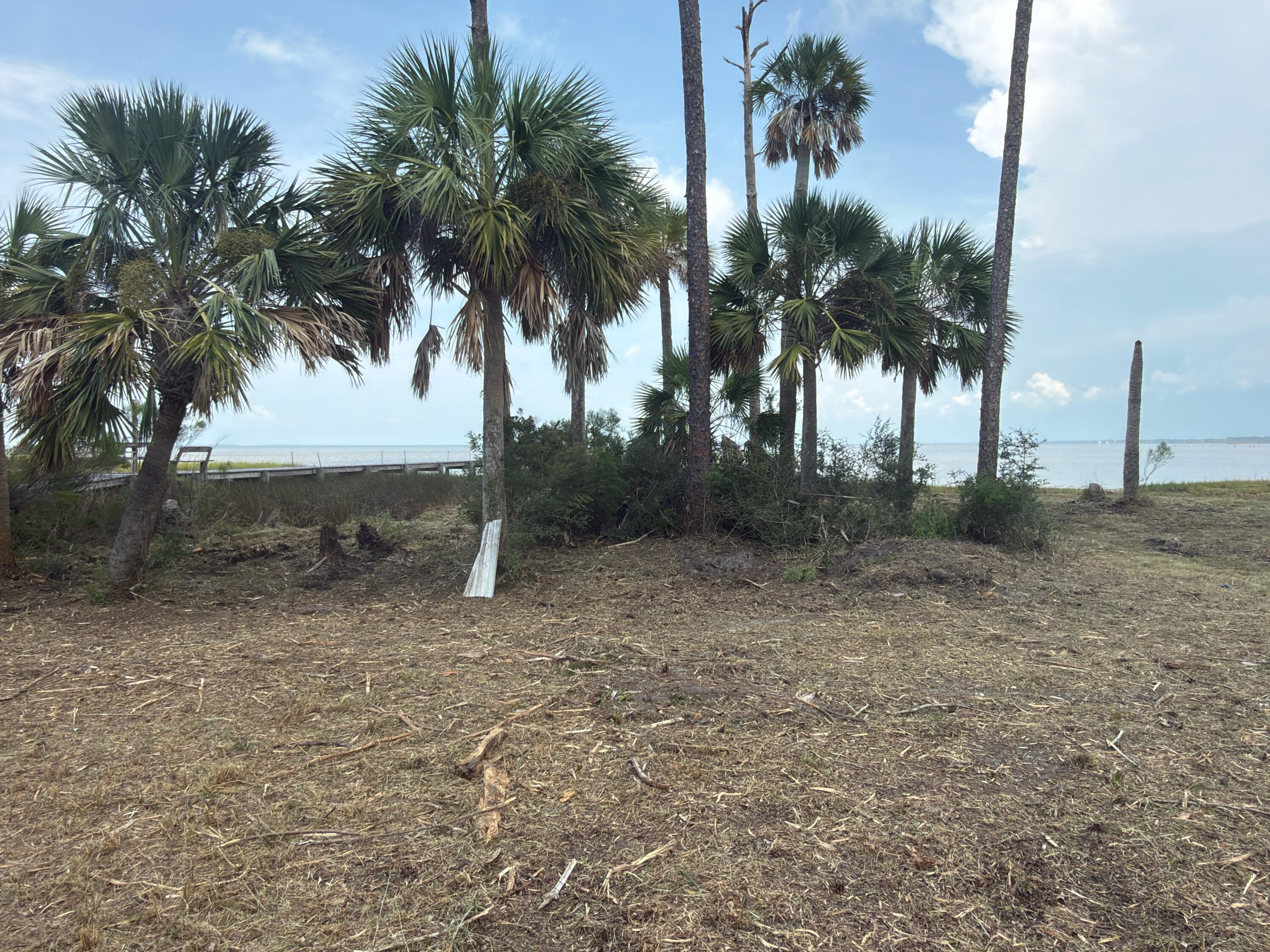 Lot 1 Cape San Blas Road Cape San Blas FL 32456