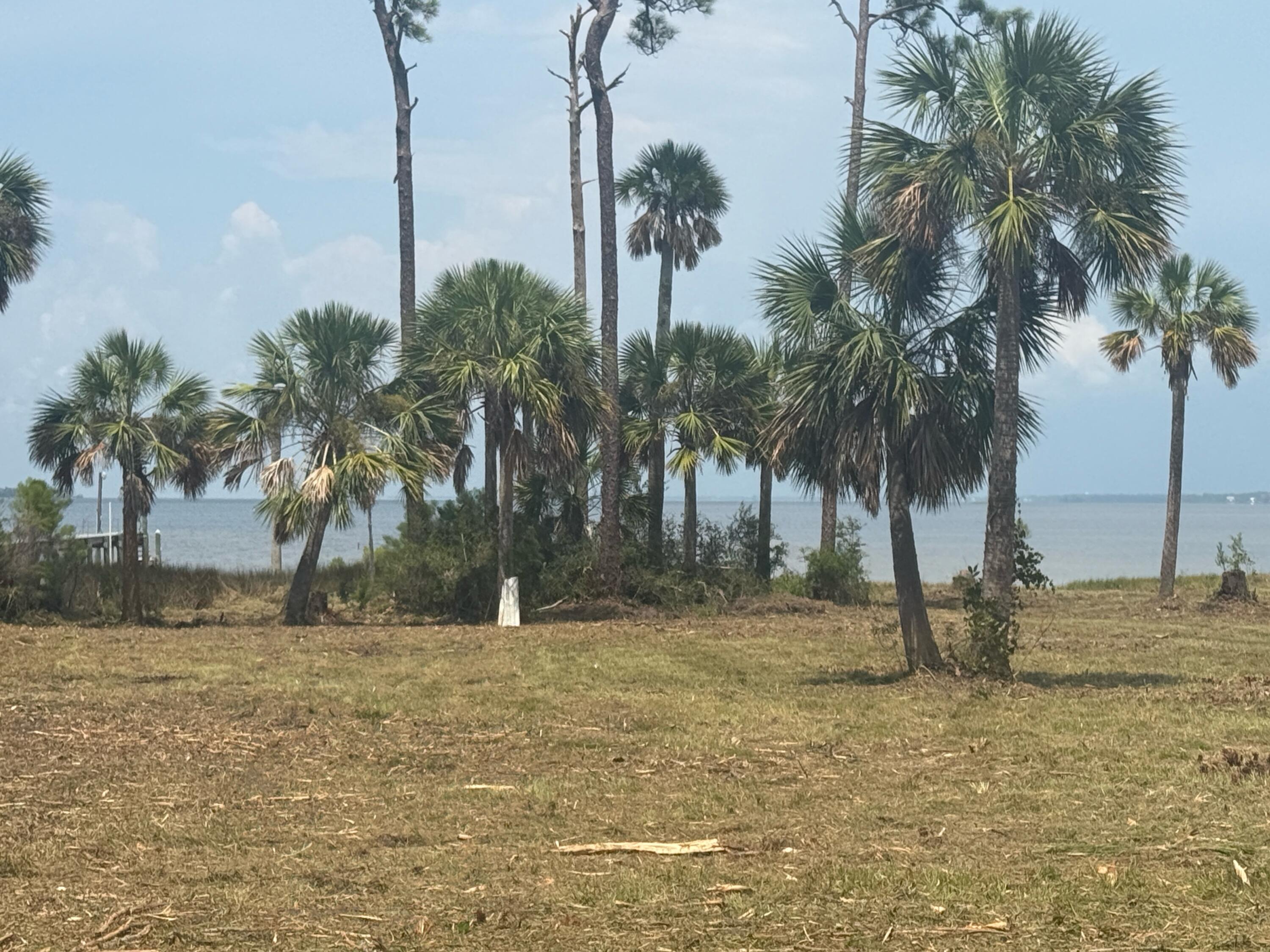 Lot 1 Cape San Blas Road Cape San Blas FL 32456