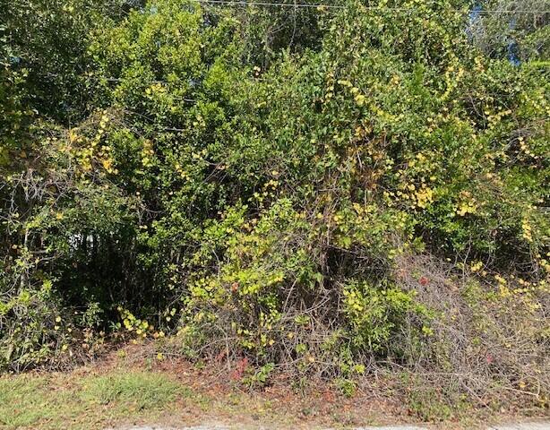 Lot 6 Virginia Street Fort Walton Beach FL 32547