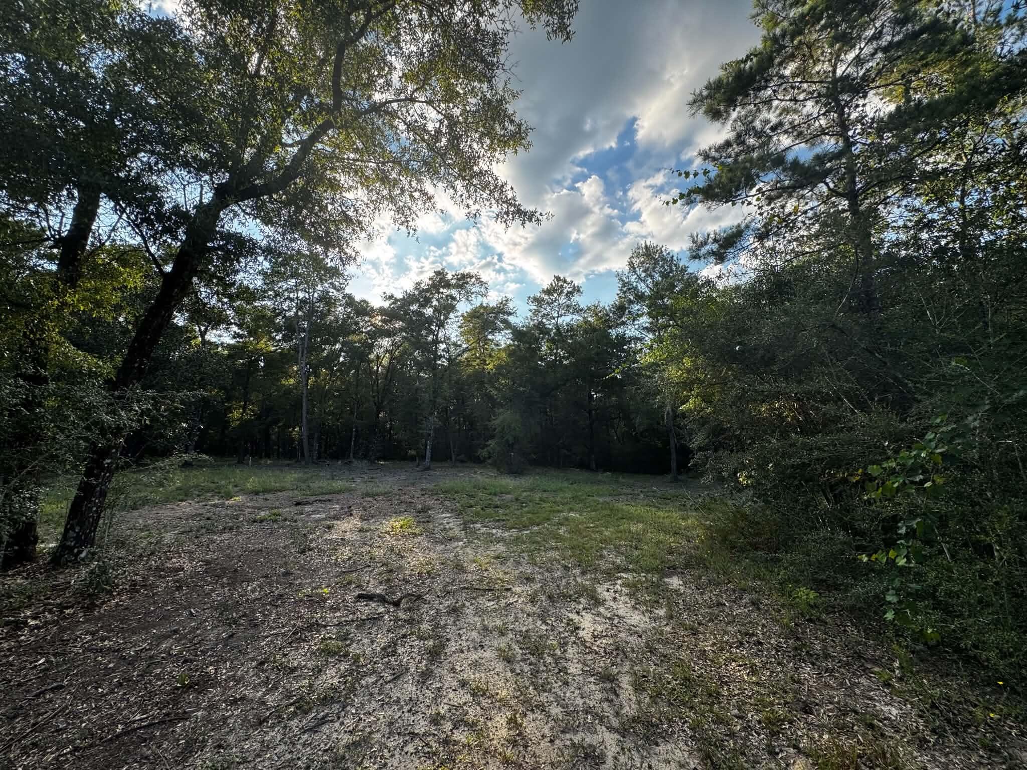 2.24 Acres Jv Woolley Rd Road Crestview FL 32539
