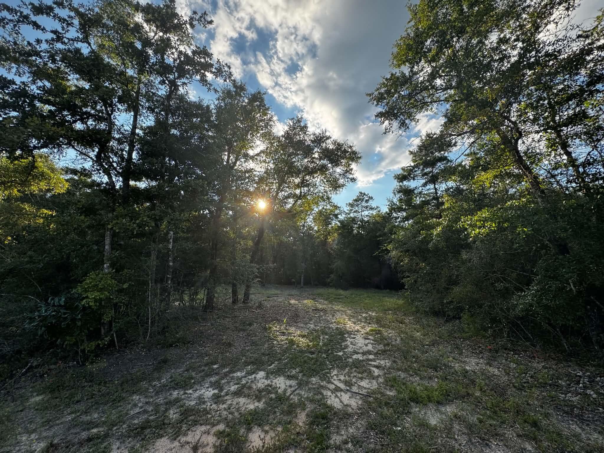 2.24 Acres Jv Woolley Rd Road Crestview FL 32539