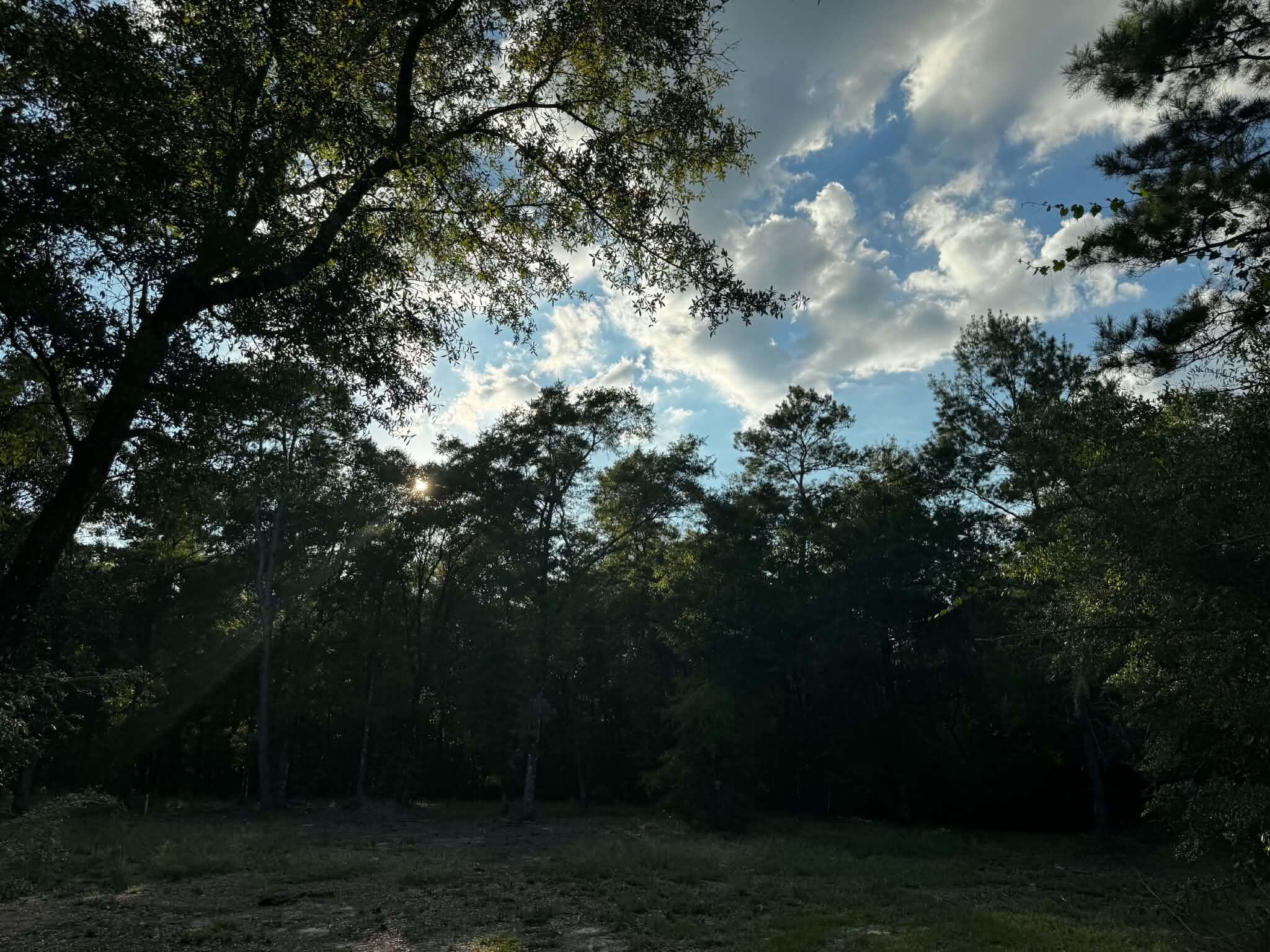 2.24 Acres Jv Woolley Rd Road Crestview FL 32539