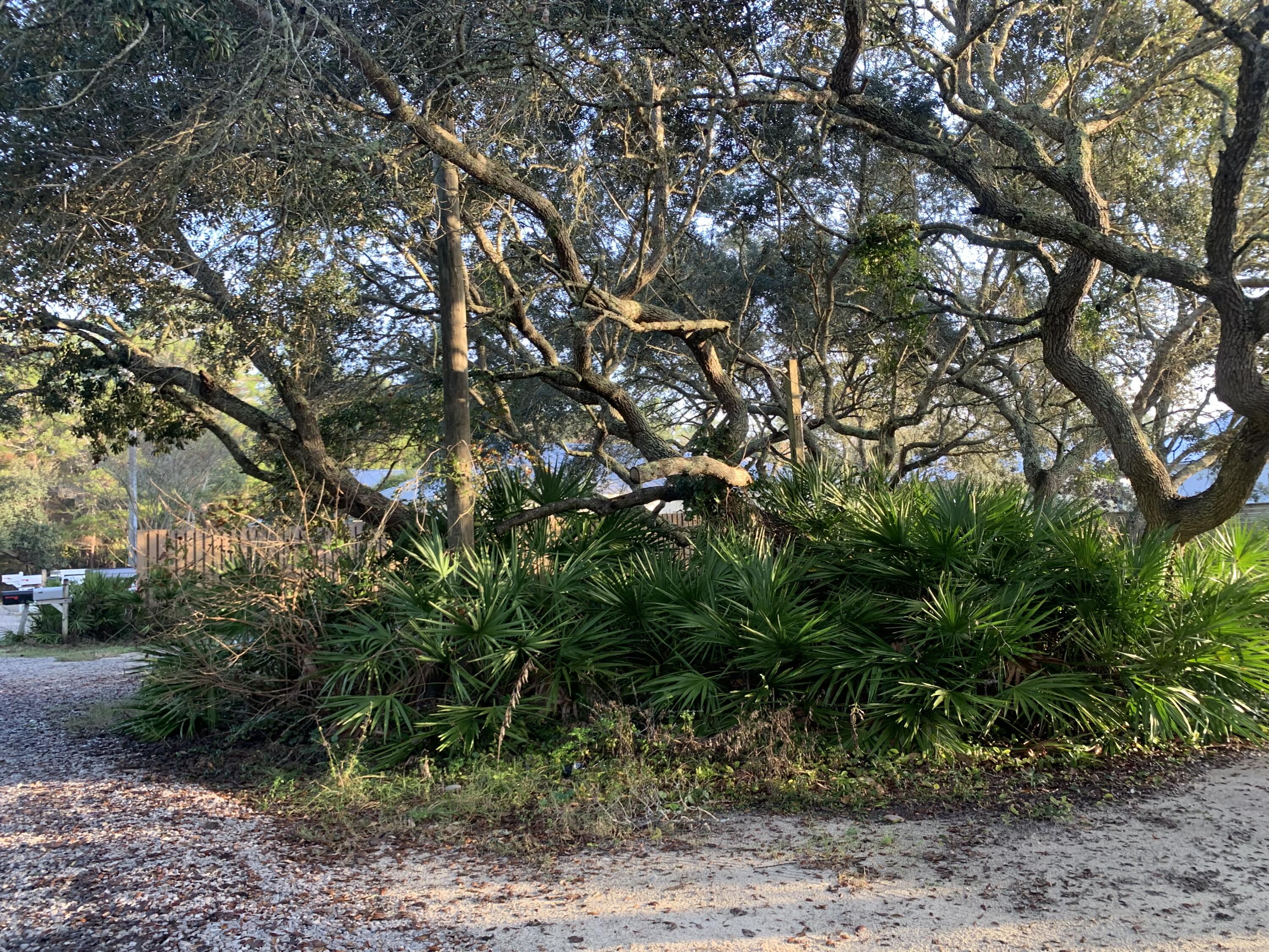 0 Williams Santa Rosa Beach FL 32459