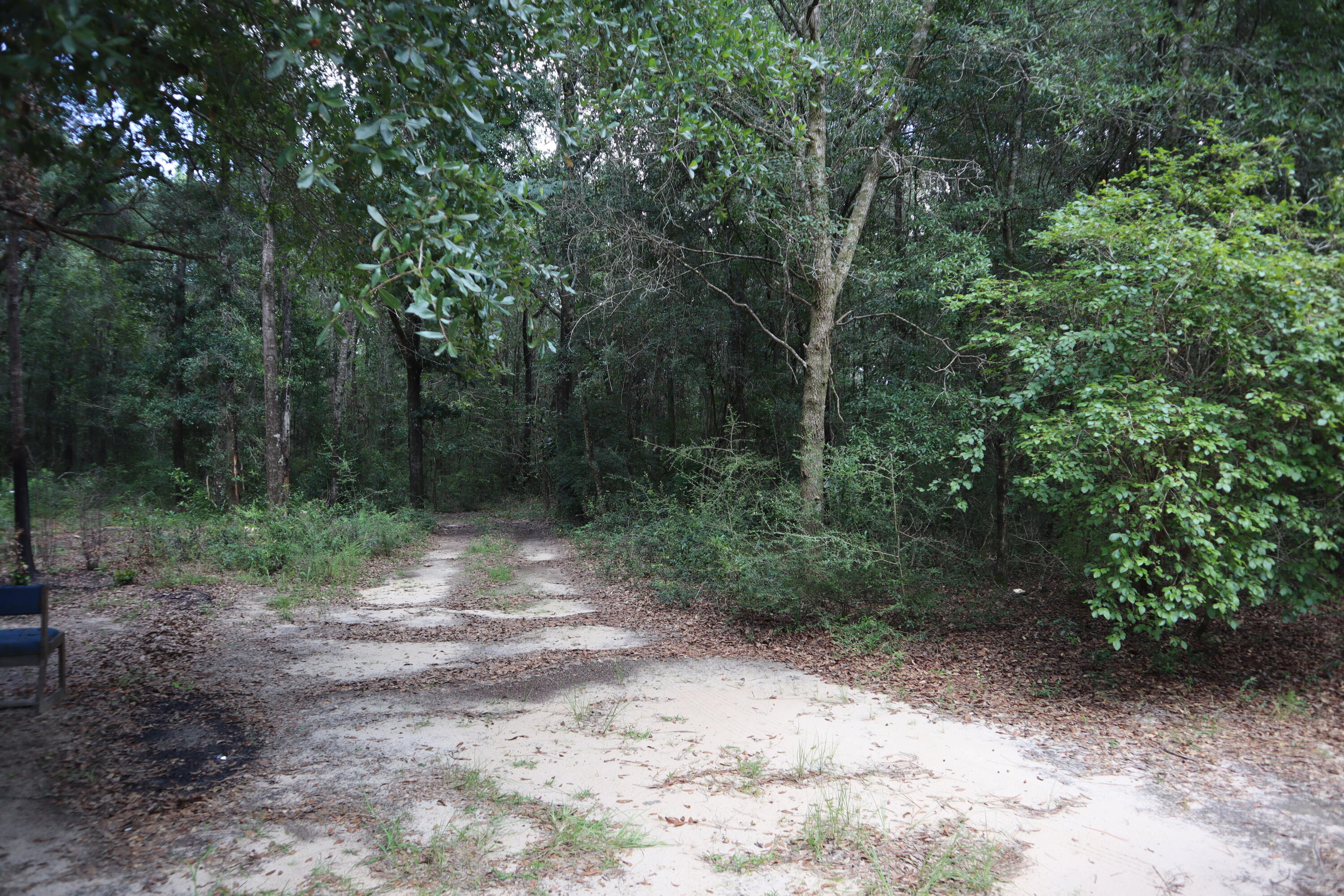 4.41 Ac Summertime Drive Holt FL 32564