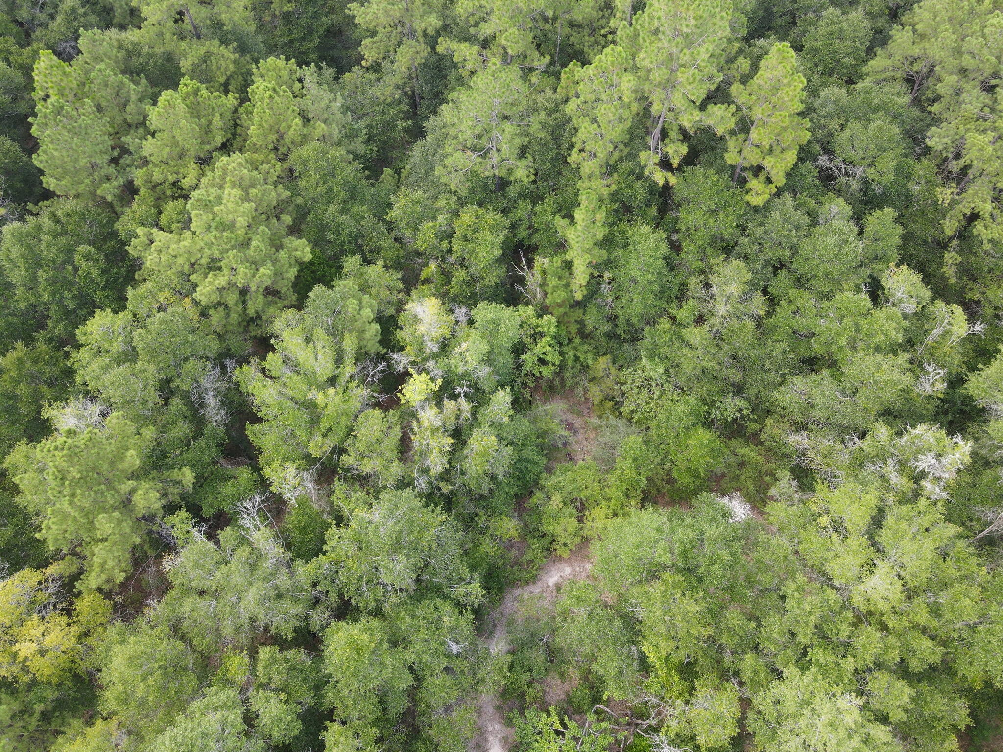 4.41 Ac Summertime Drive Holt FL 32564