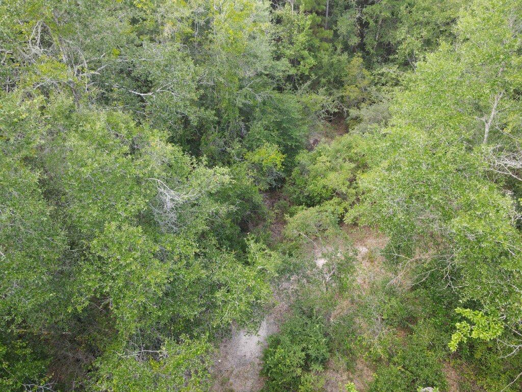 4.41 Ac Summertime Drive Holt FL 32564