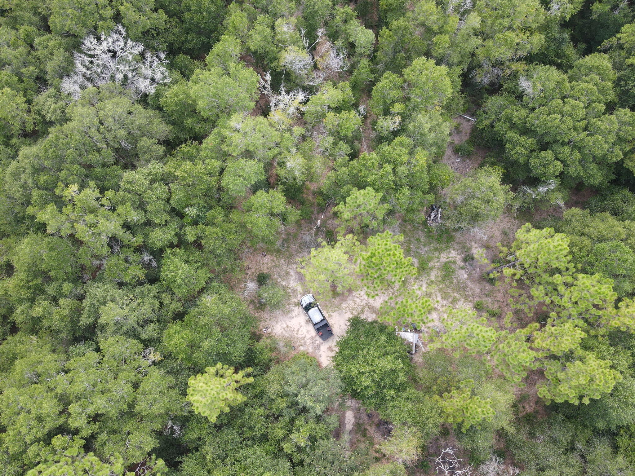 4.41 Ac Summertime Drive Holt FL 32564