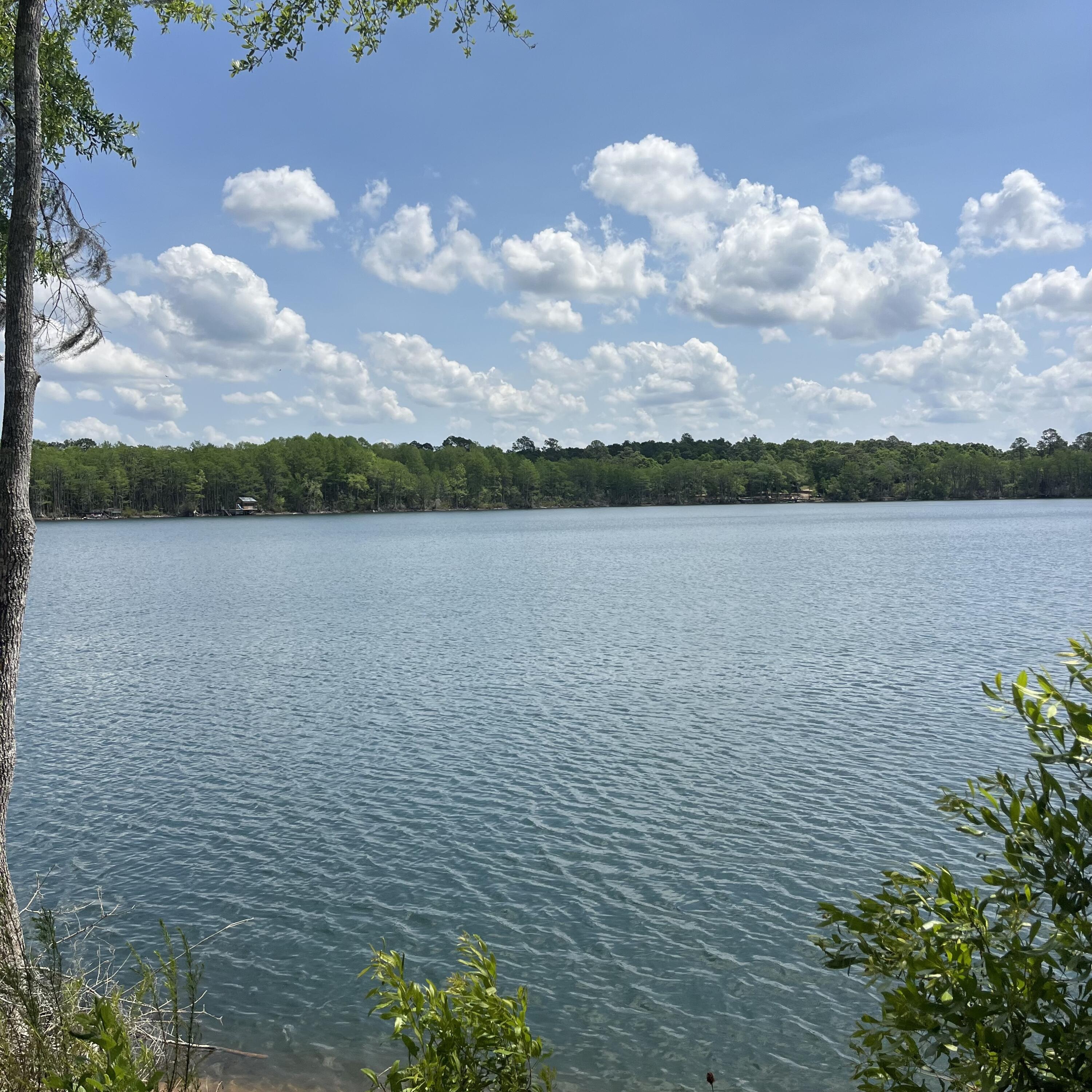 Tbd Blue Pond Circle Ponce De Leon FL 32455
