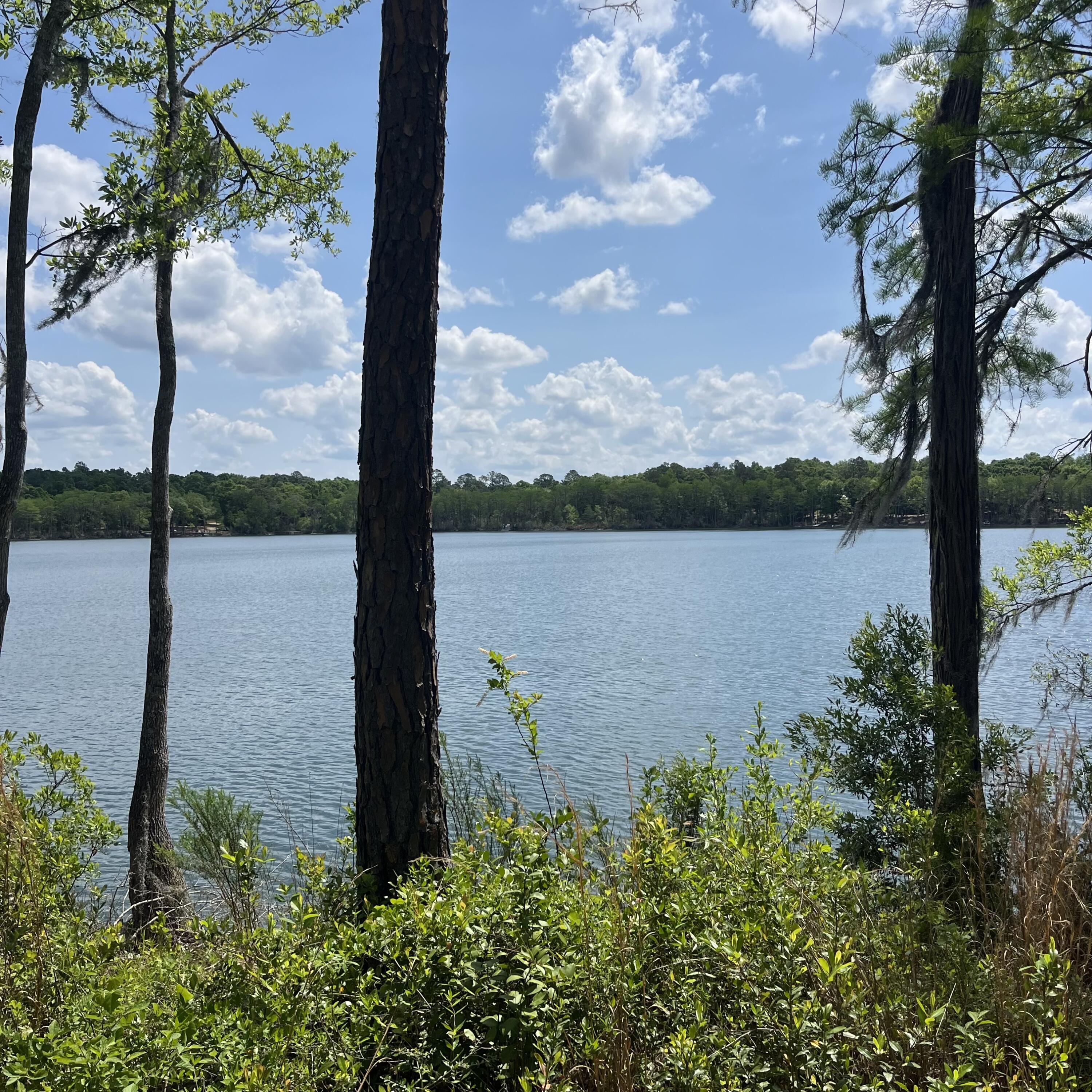 Tbd Blue Pond Circle Ponce De Leon FL 32455
