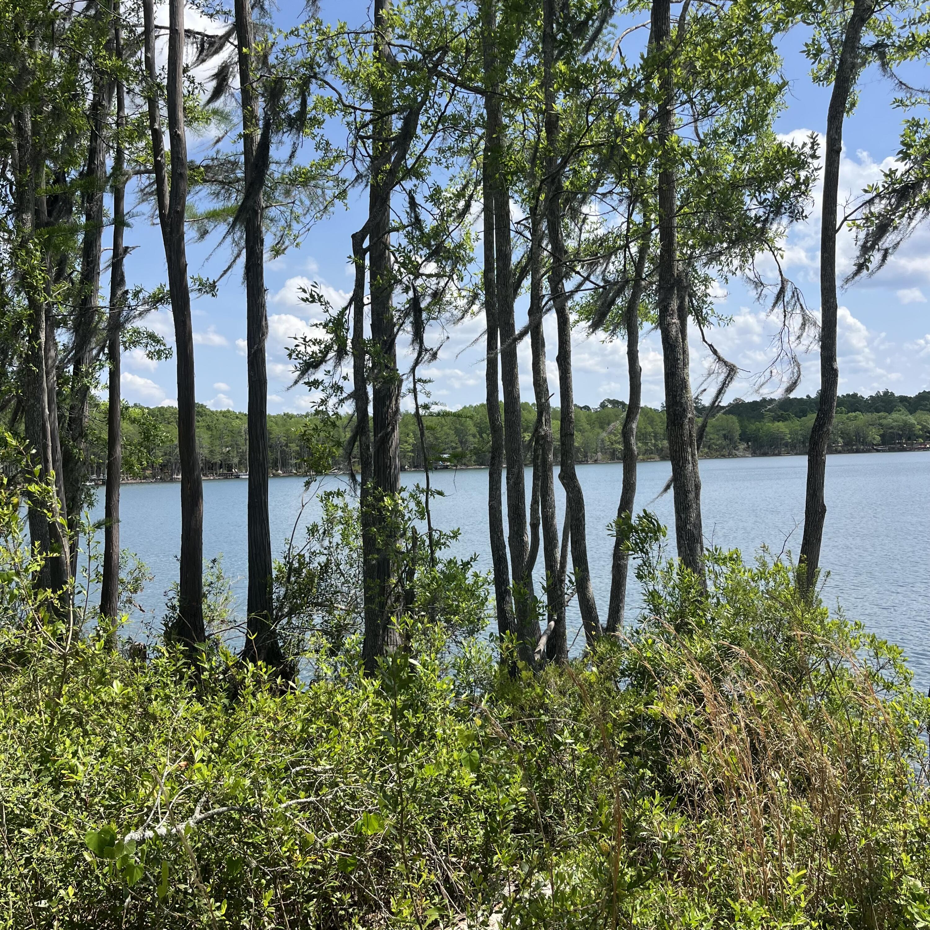 Tbd Blue Pond Circle Ponce De Leon FL 32455