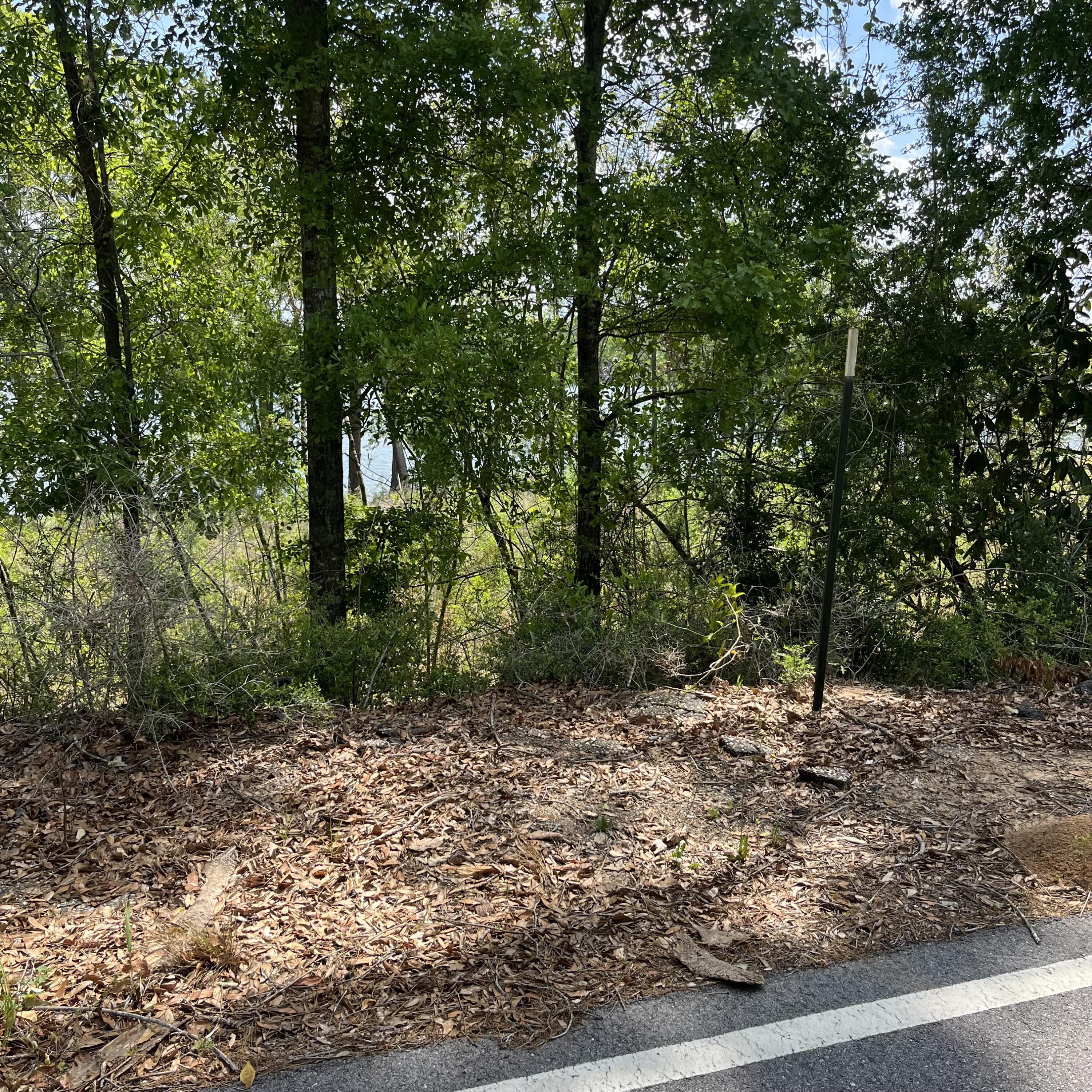 Tbd Blue Pond Circle Ponce De Leon FL 32455