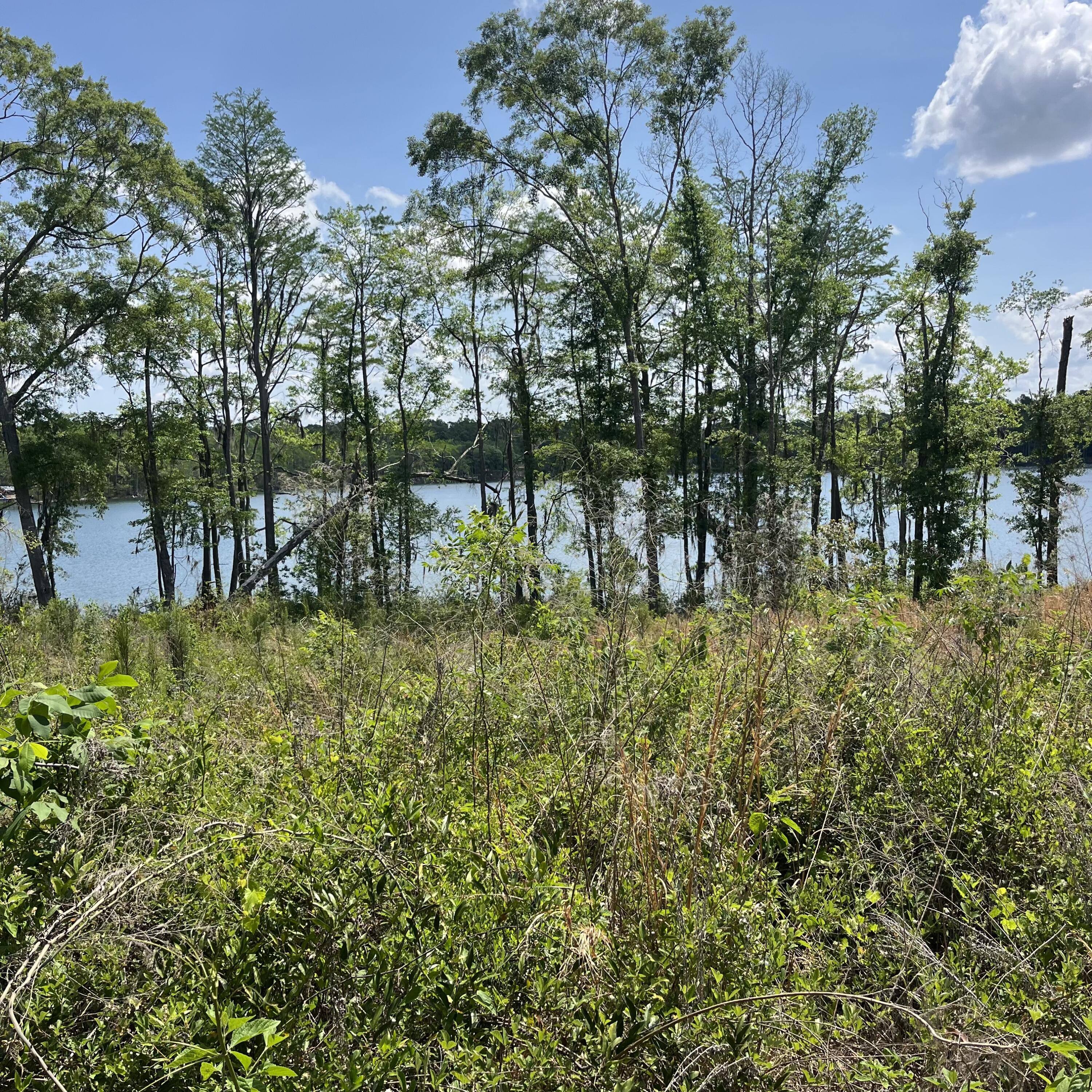 Tbd Blue Pond Circle Ponce De Leon FL 32455