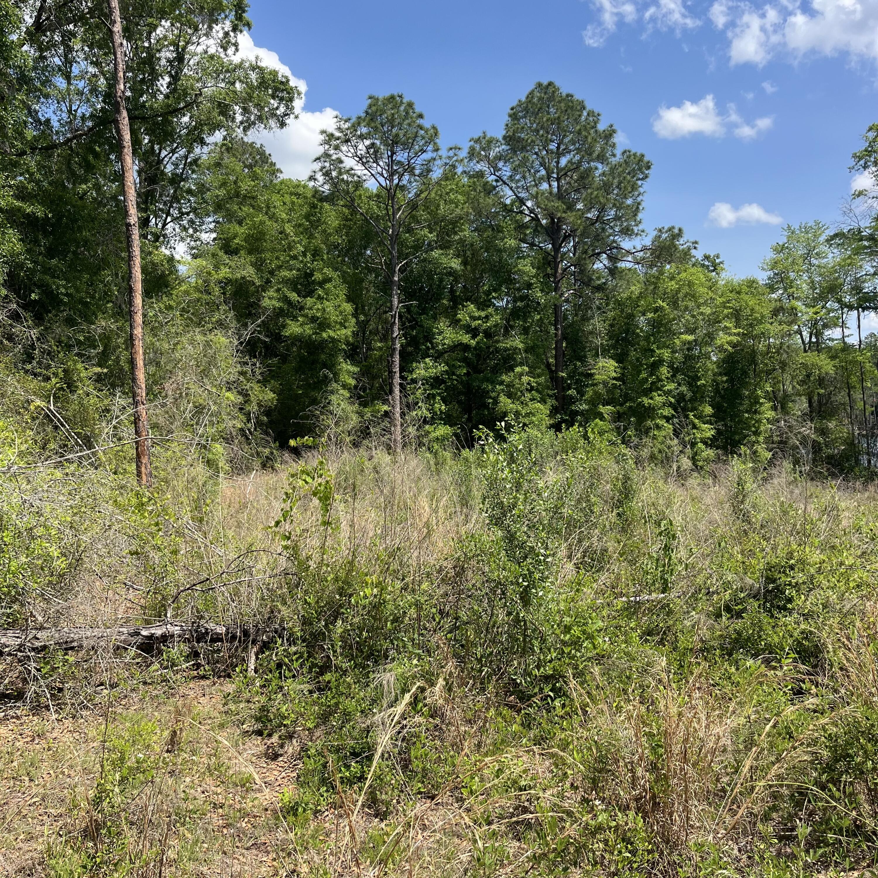 Tbd Blue Pond Circle Ponce De Leon FL 32455