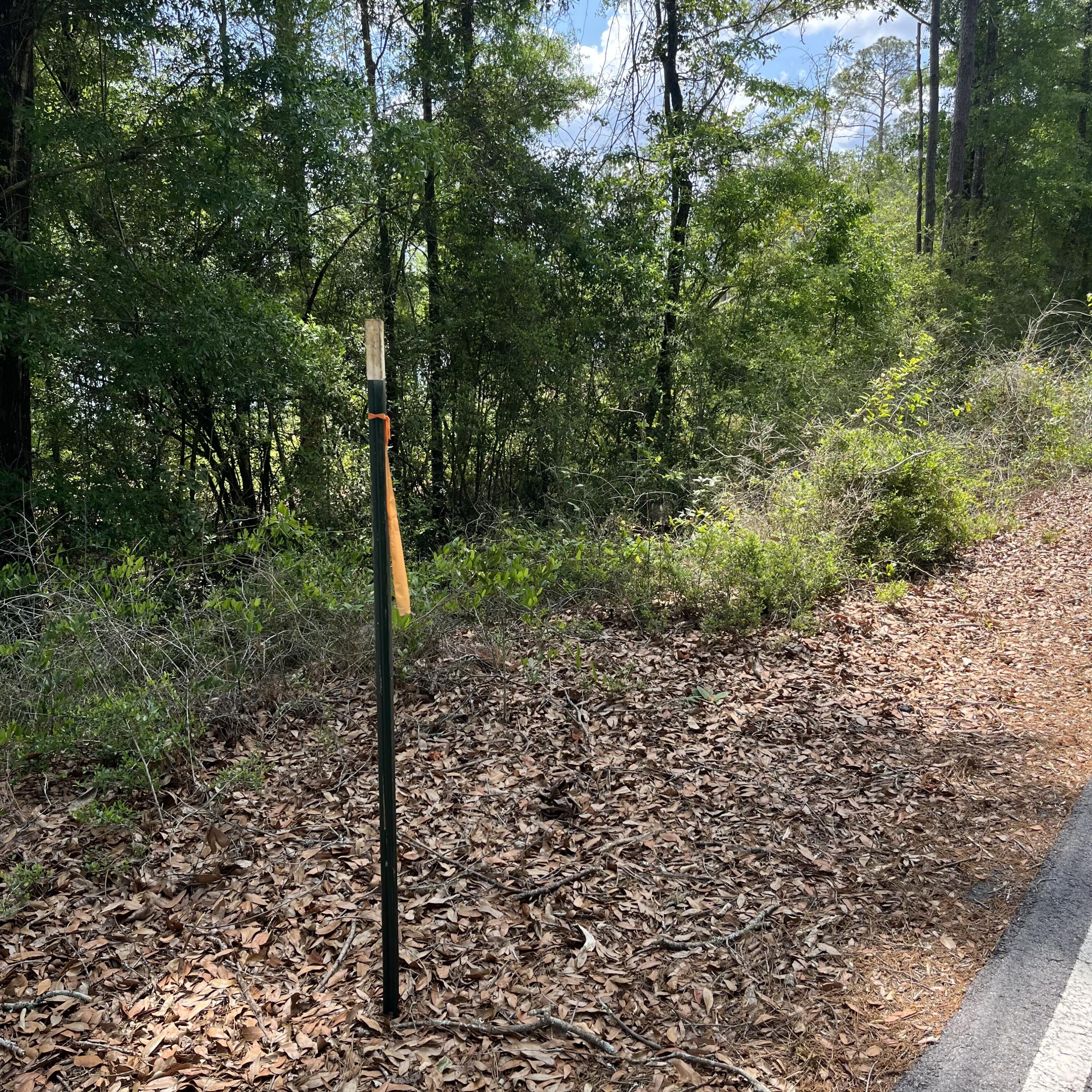 Tbd Blue Pond Circle Ponce De Leon FL 32455