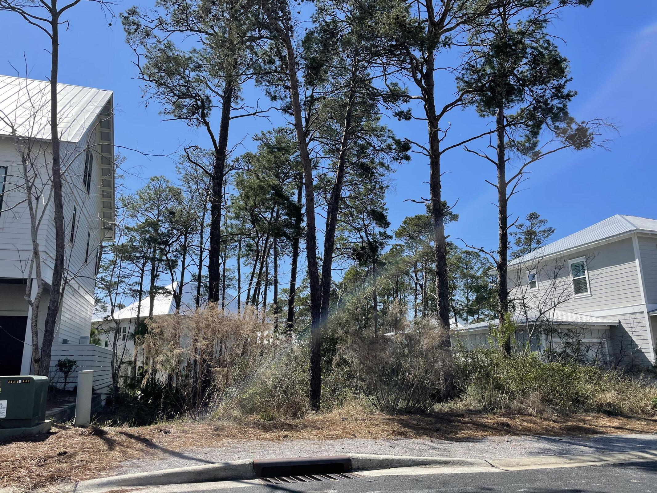51 Ibis Drive Santa Rosa Beach FL 32459