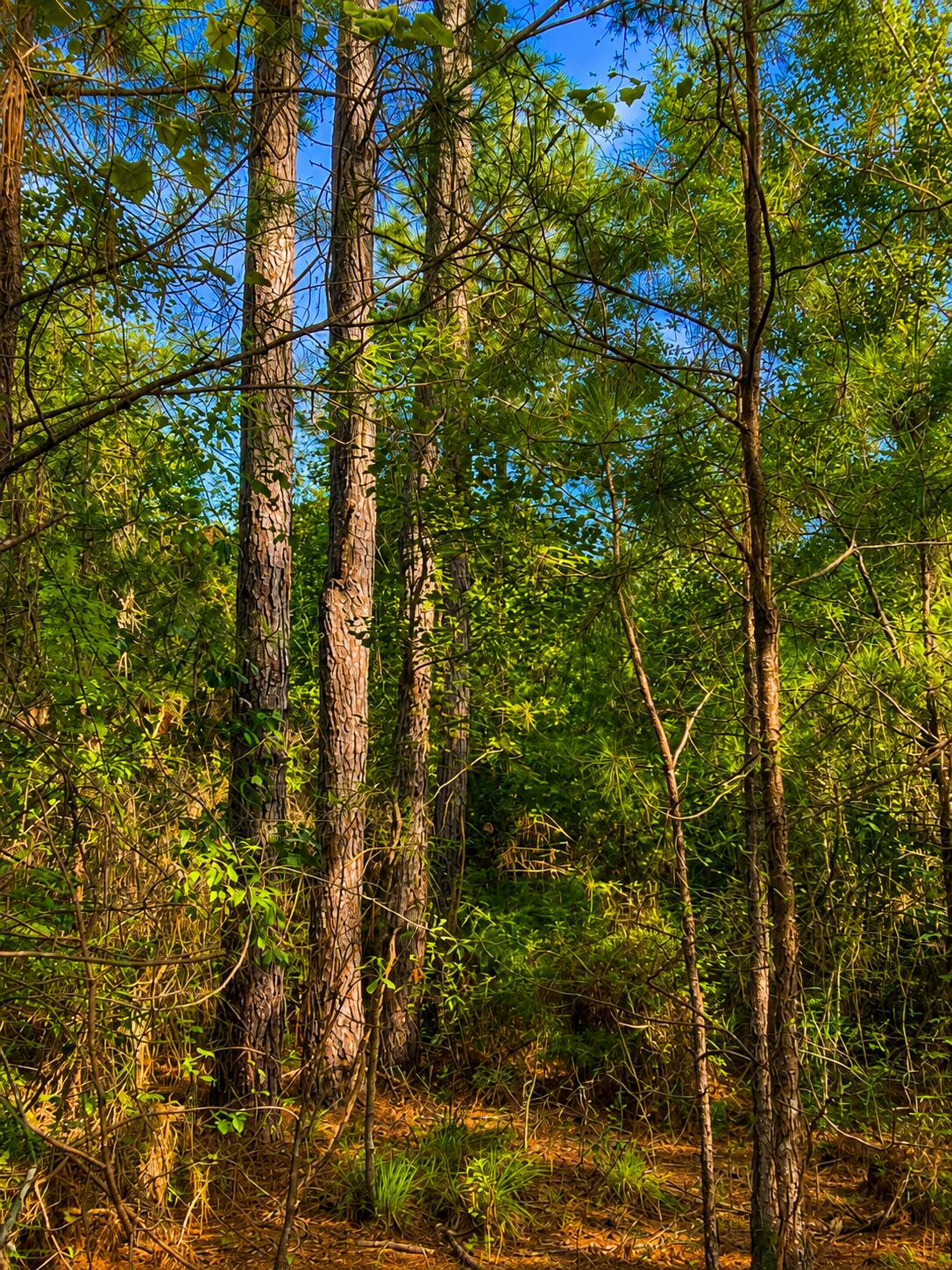 1581 Hwy C 180 Baker FL 32531