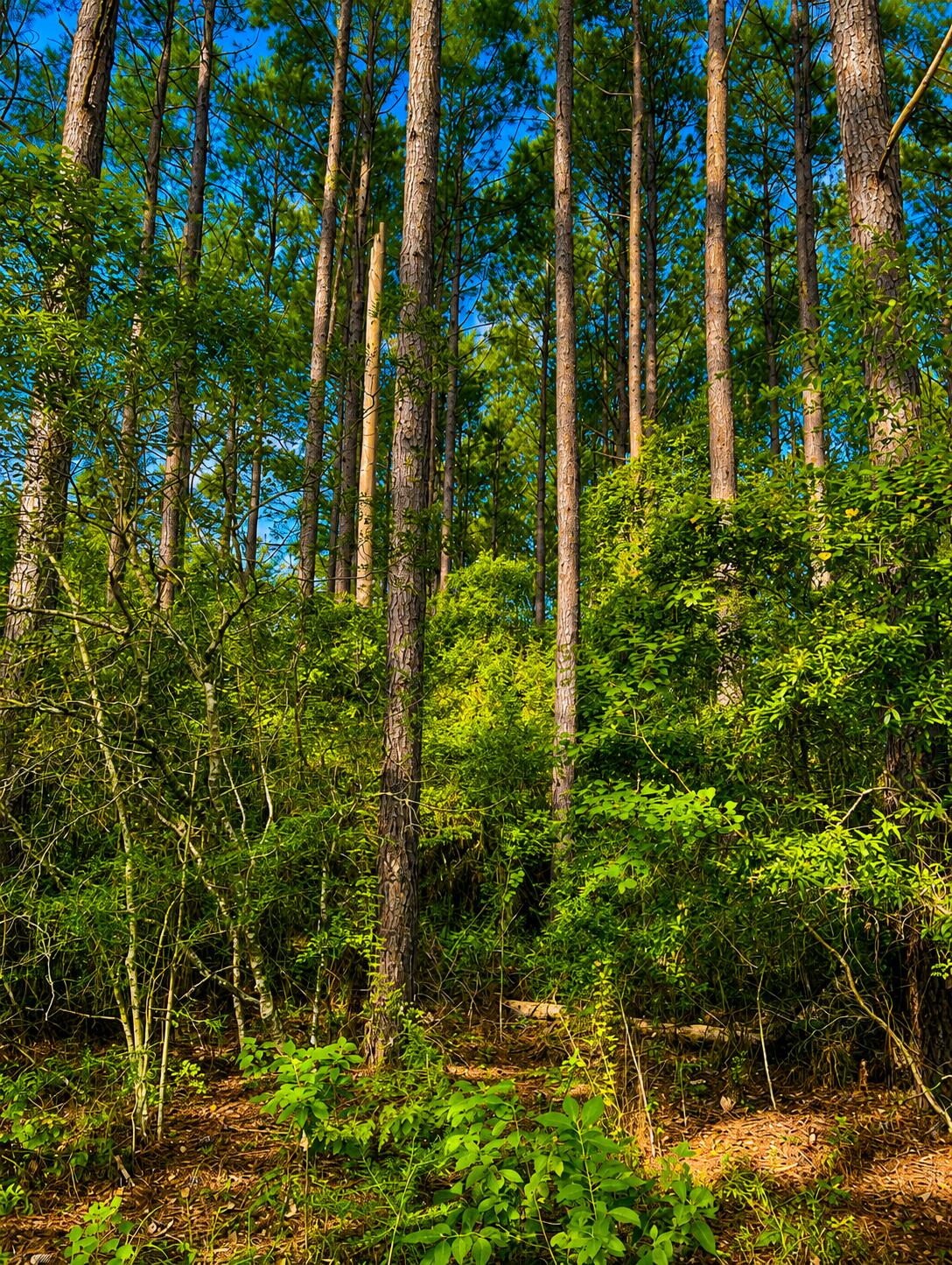 1581 Hwy C 180 Baker FL 32531