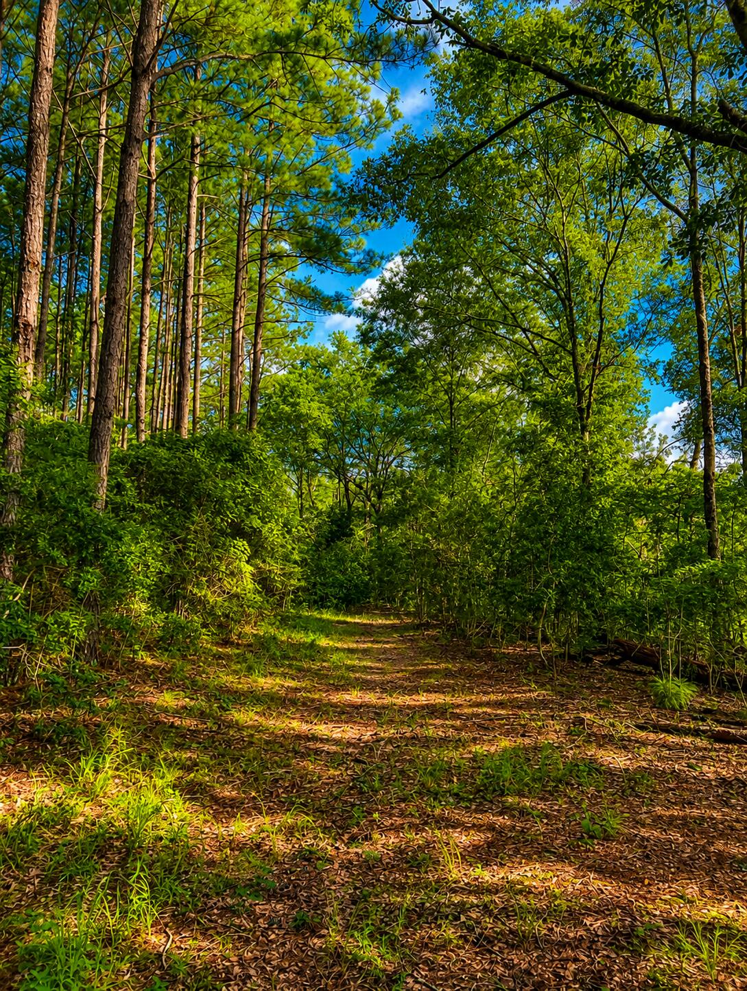 1581 Hwy C 180 Baker FL 32531