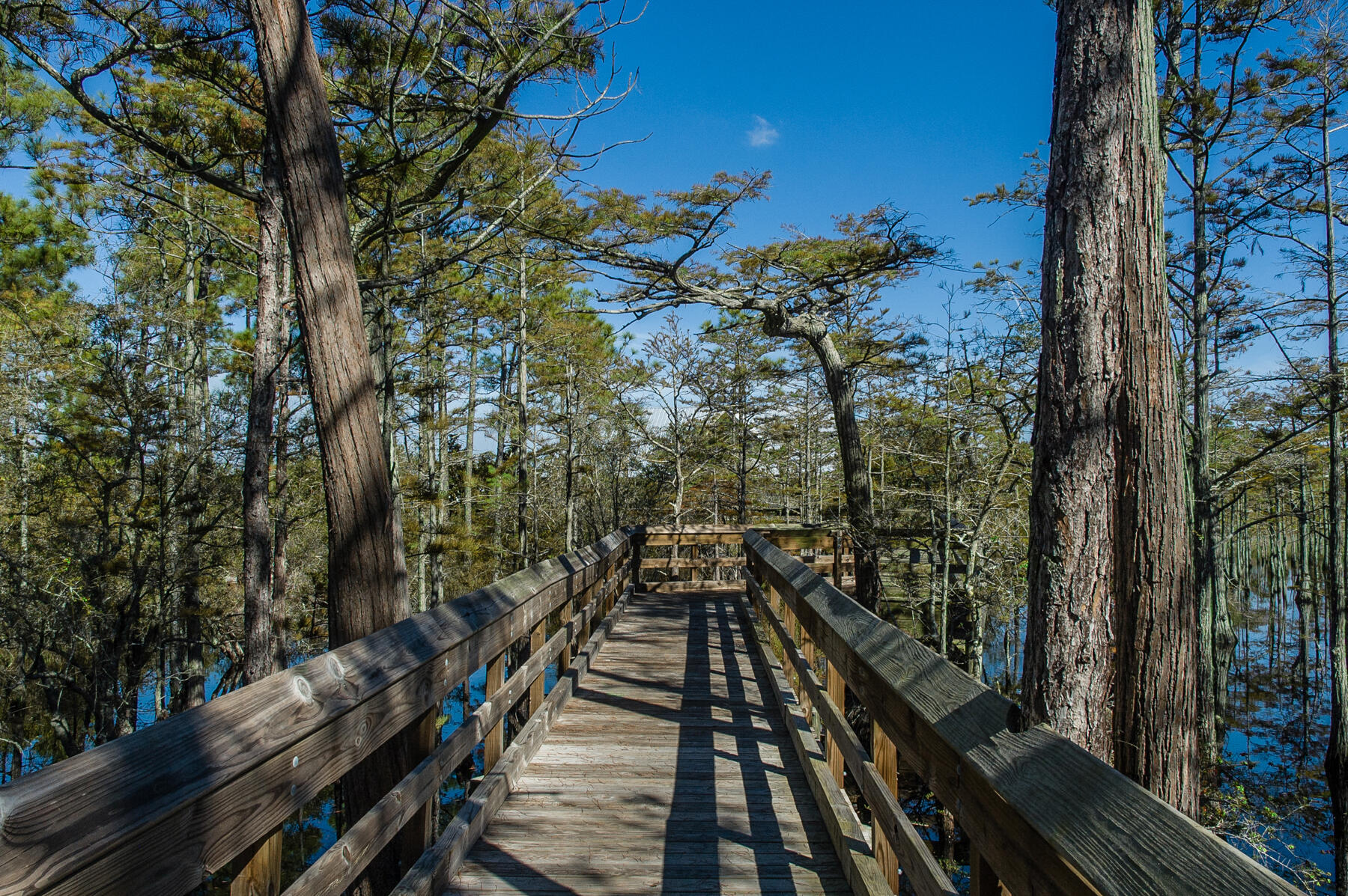 20 Cypress Walk Santa Rosa Beach FL 32459