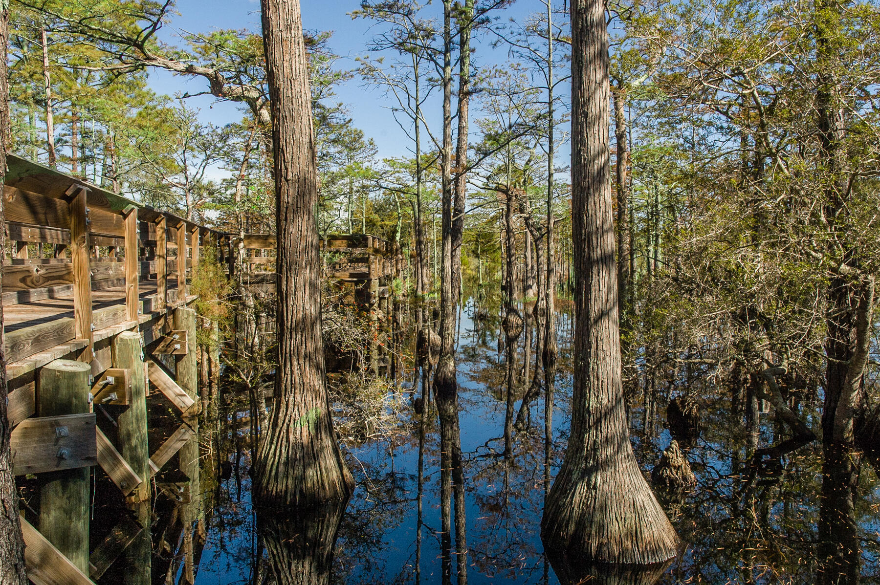 20 Cypress Walk Santa Rosa Beach FL 32459