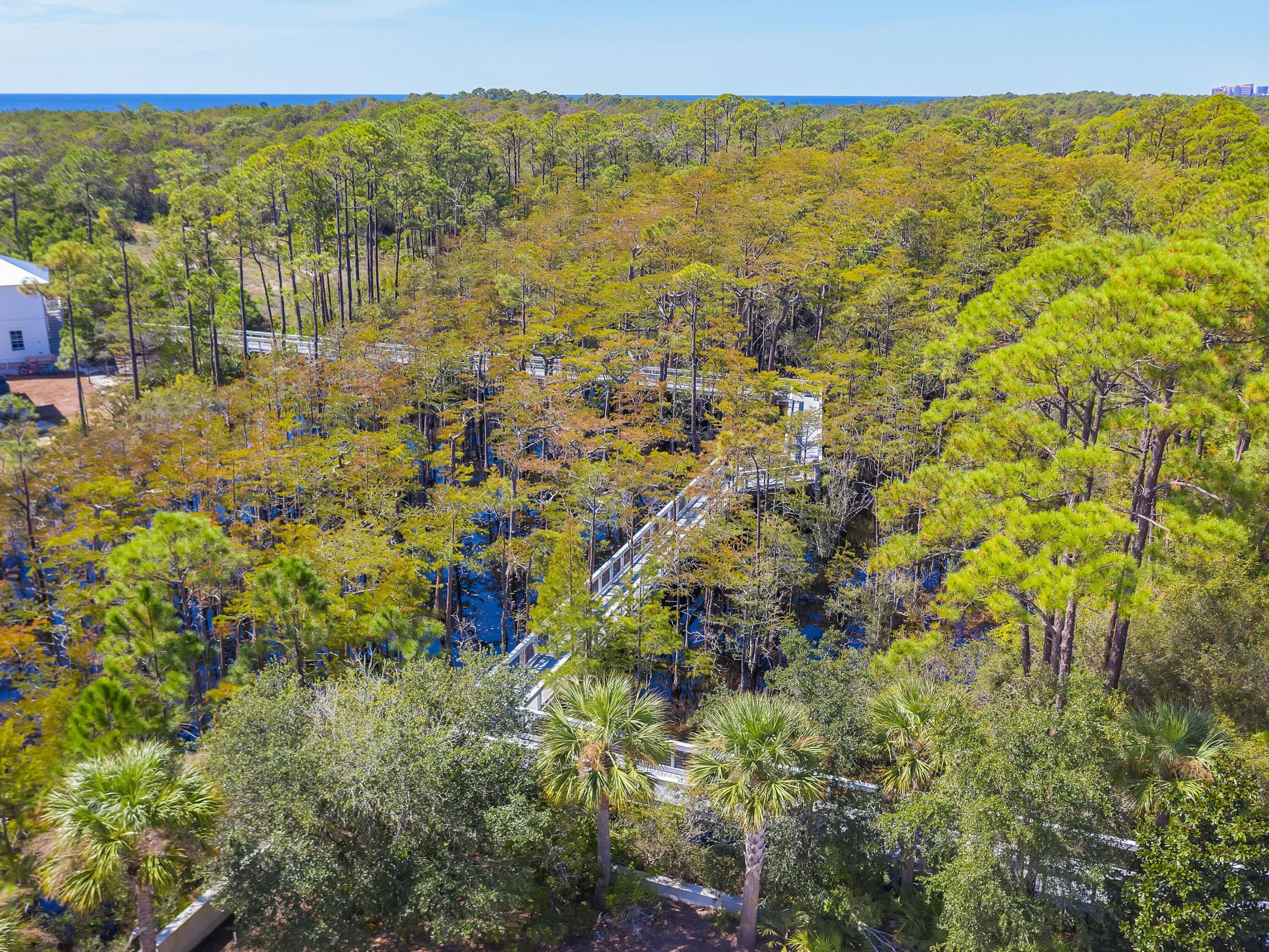 Lot 107 Cypress Walk Santa Rosa Beach FL 32459