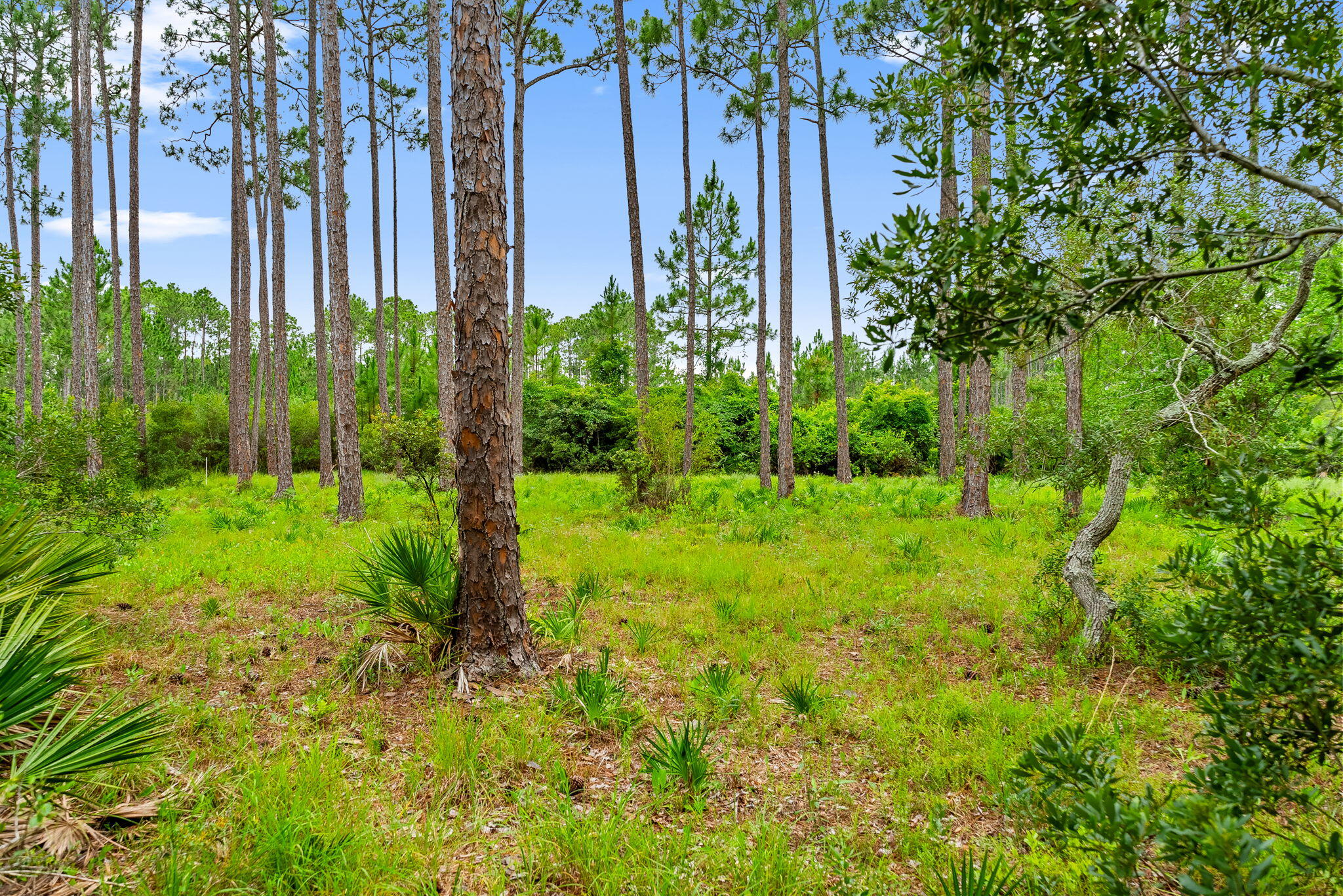 6307 River House Drive Panama City Beach FL 32413